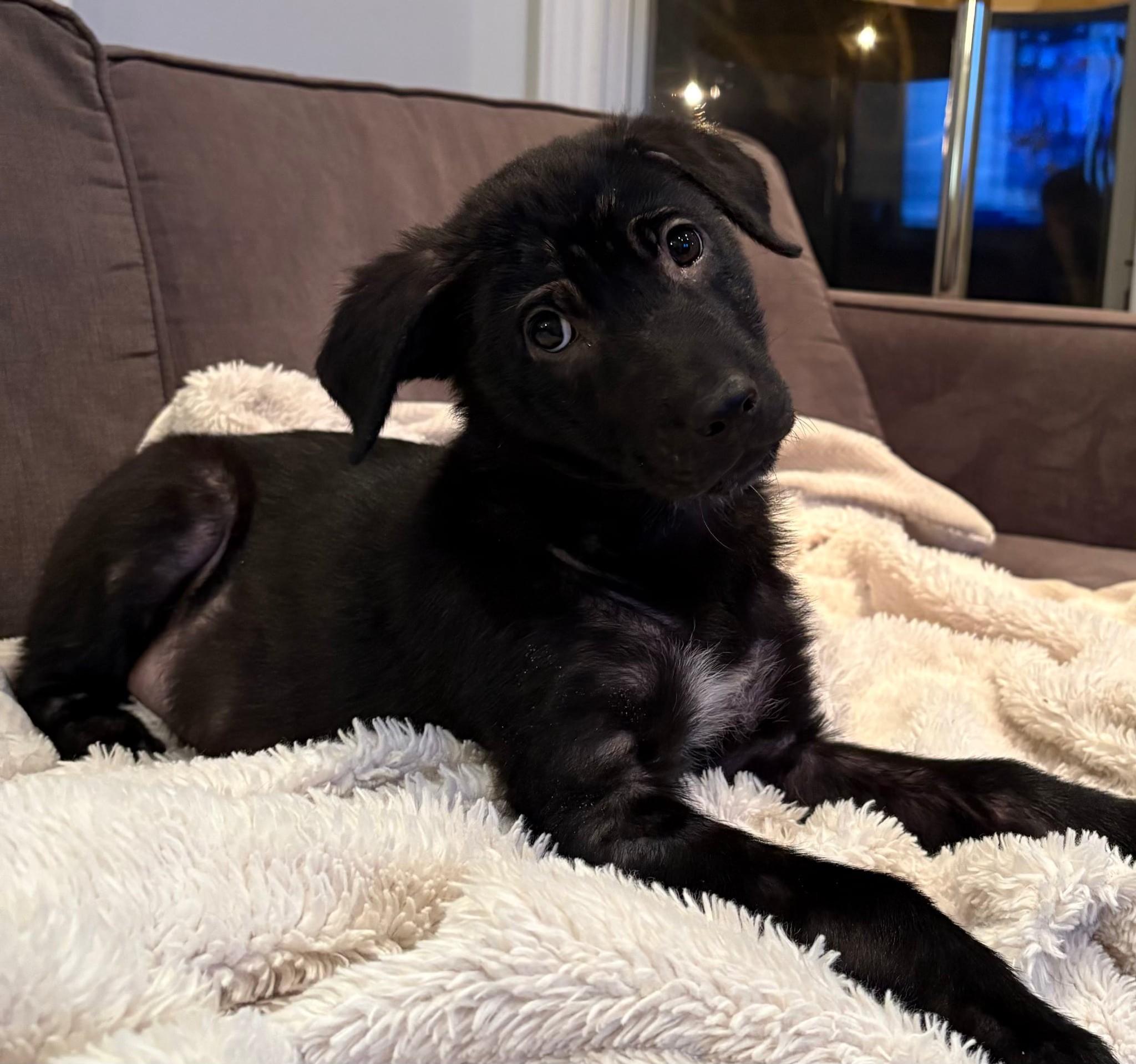 Leona (20260105-08) — thumbnail 5