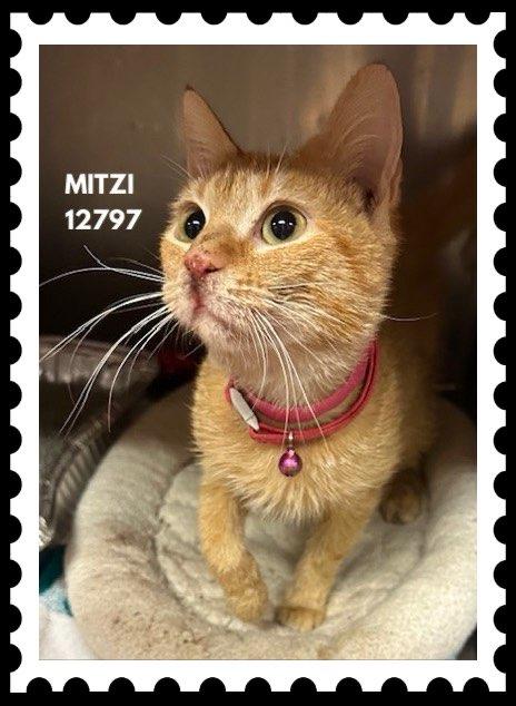 MITZI