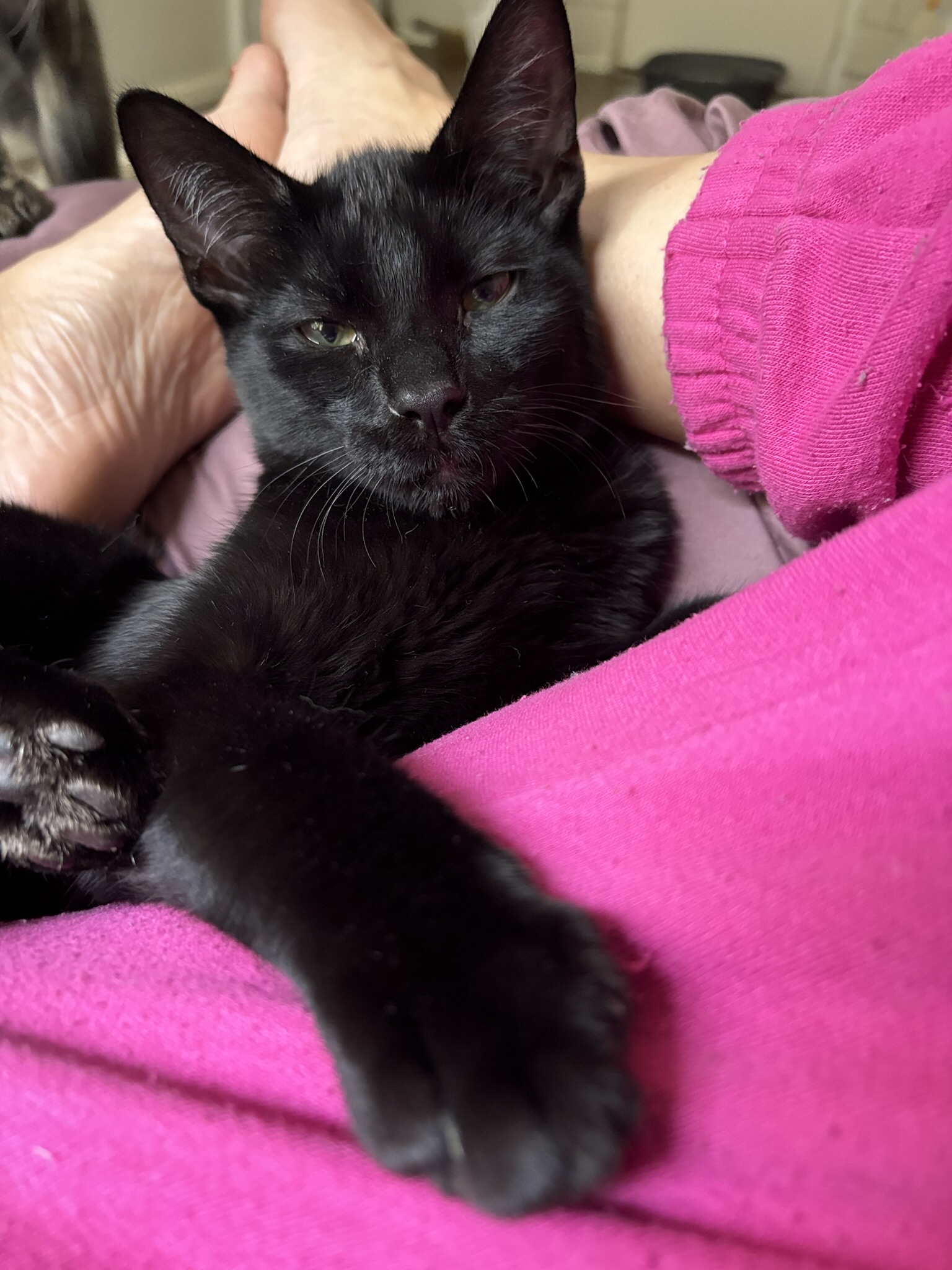 Shadow — thumbnail 4