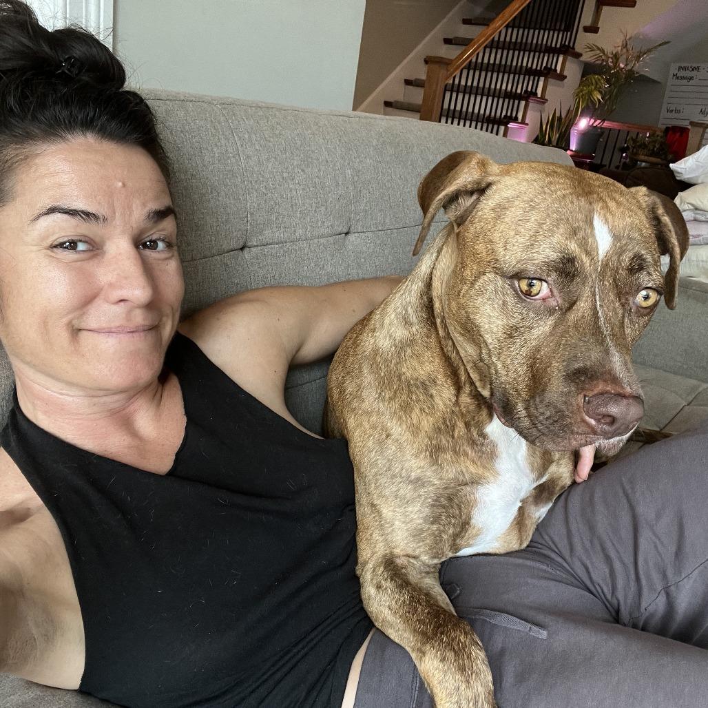 Enlarge Carmy, a Adoptable Mixed Breed in Chicago, IL image 6/6