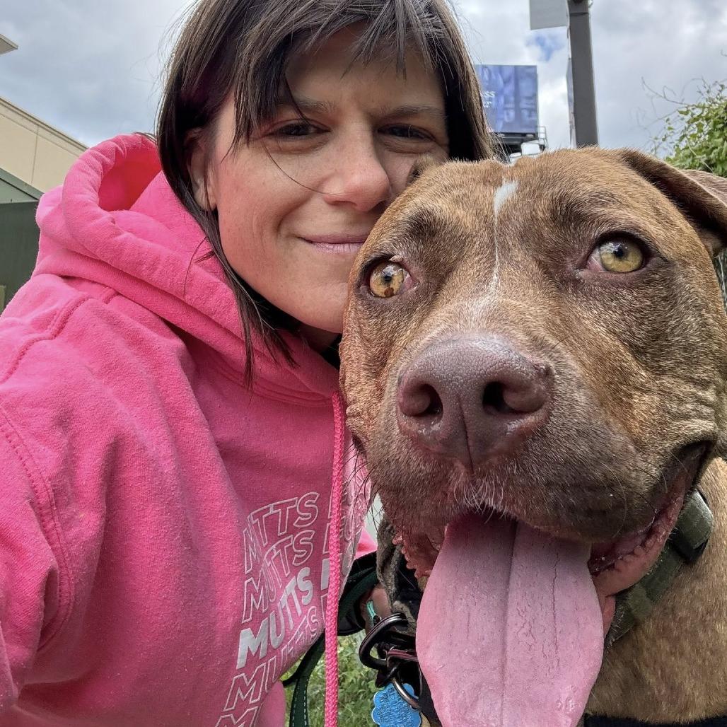 Enlarge Carmy, a Adoptable Mixed Breed in Chicago, IL image 5/6