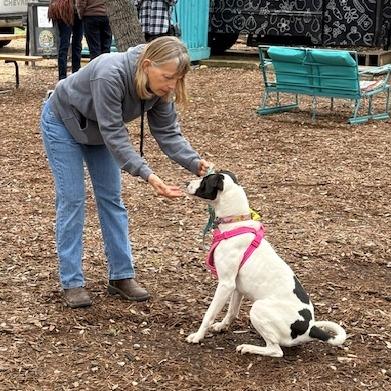 Cleo, a Adoptable mixed breed in Wimberley, TX image 5/6