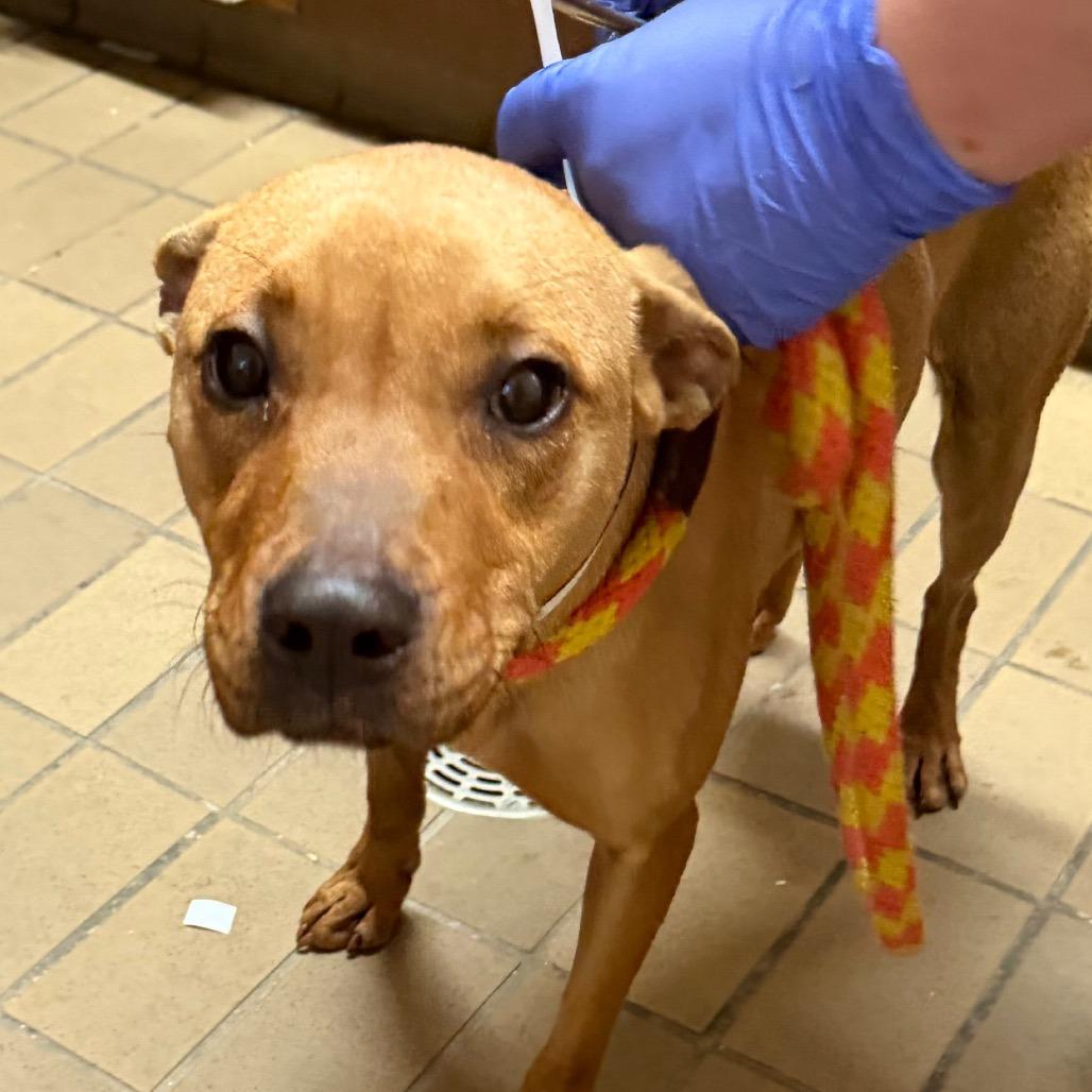 Fiona — thumbnail 2