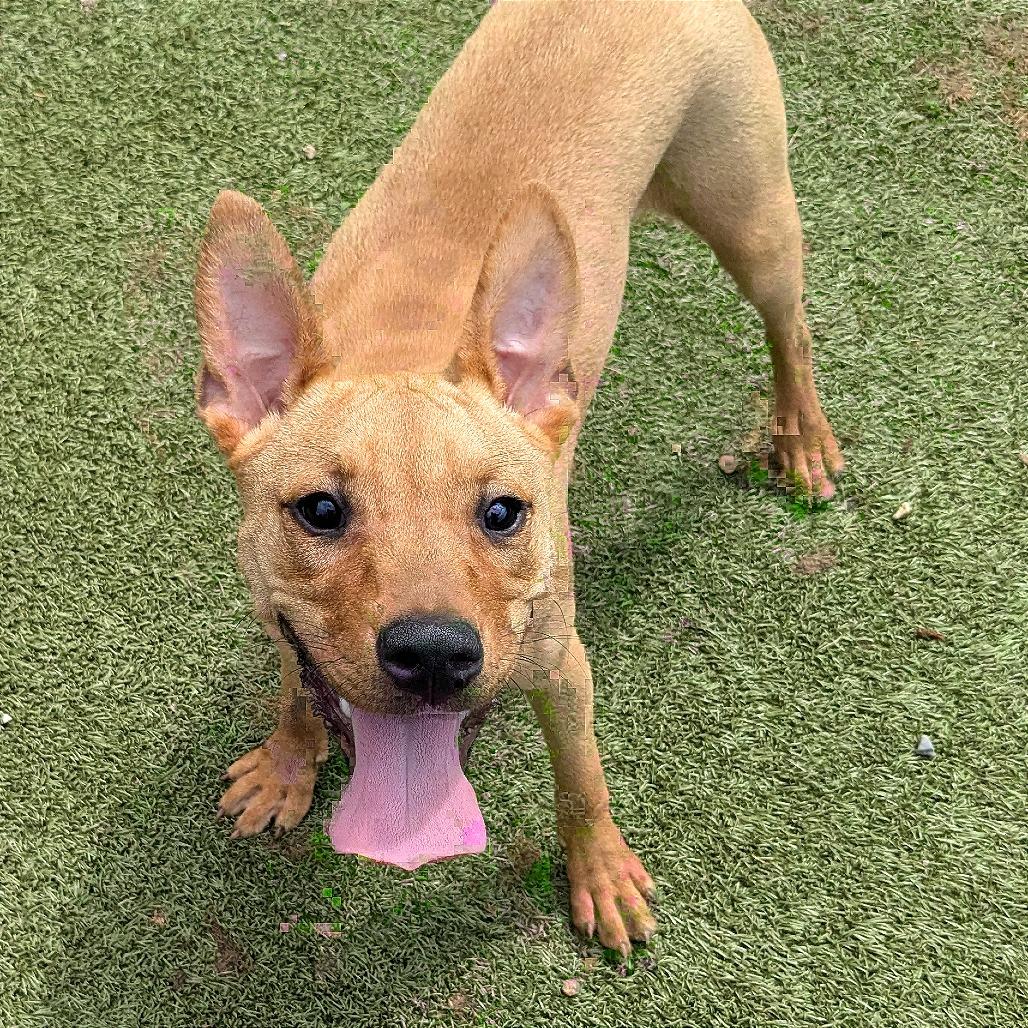 Fiona — thumbnail 3