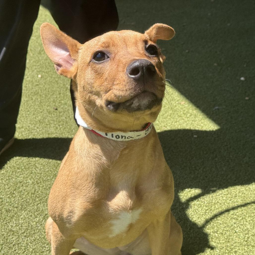 Fiona — thumbnail 4