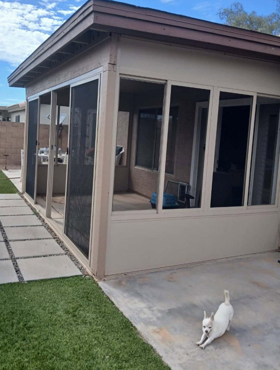 Enlarge KONA, a Adopted Chihuahua in Chandler, AZ image 3/3