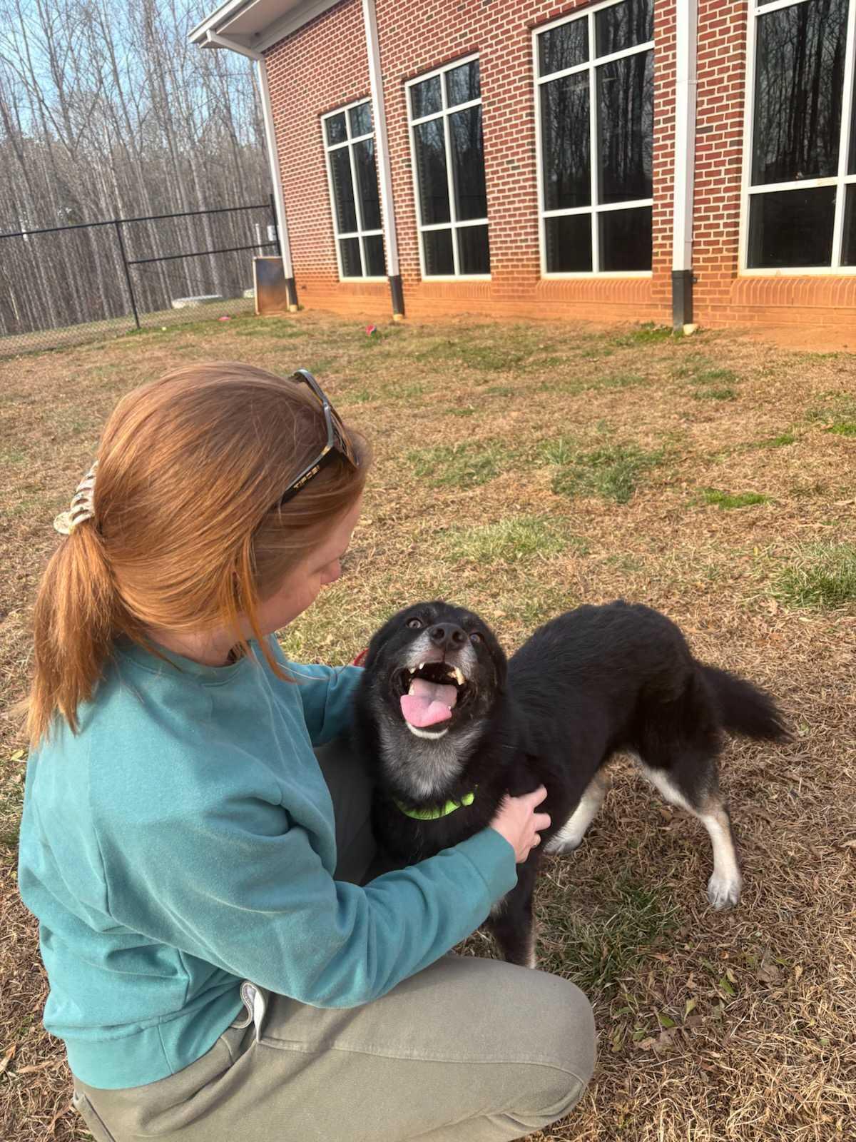 Enlarge Bogoroditse (AKA Gracie), a ADOPTABLE mixed breed in Maidens, VA image 3/5