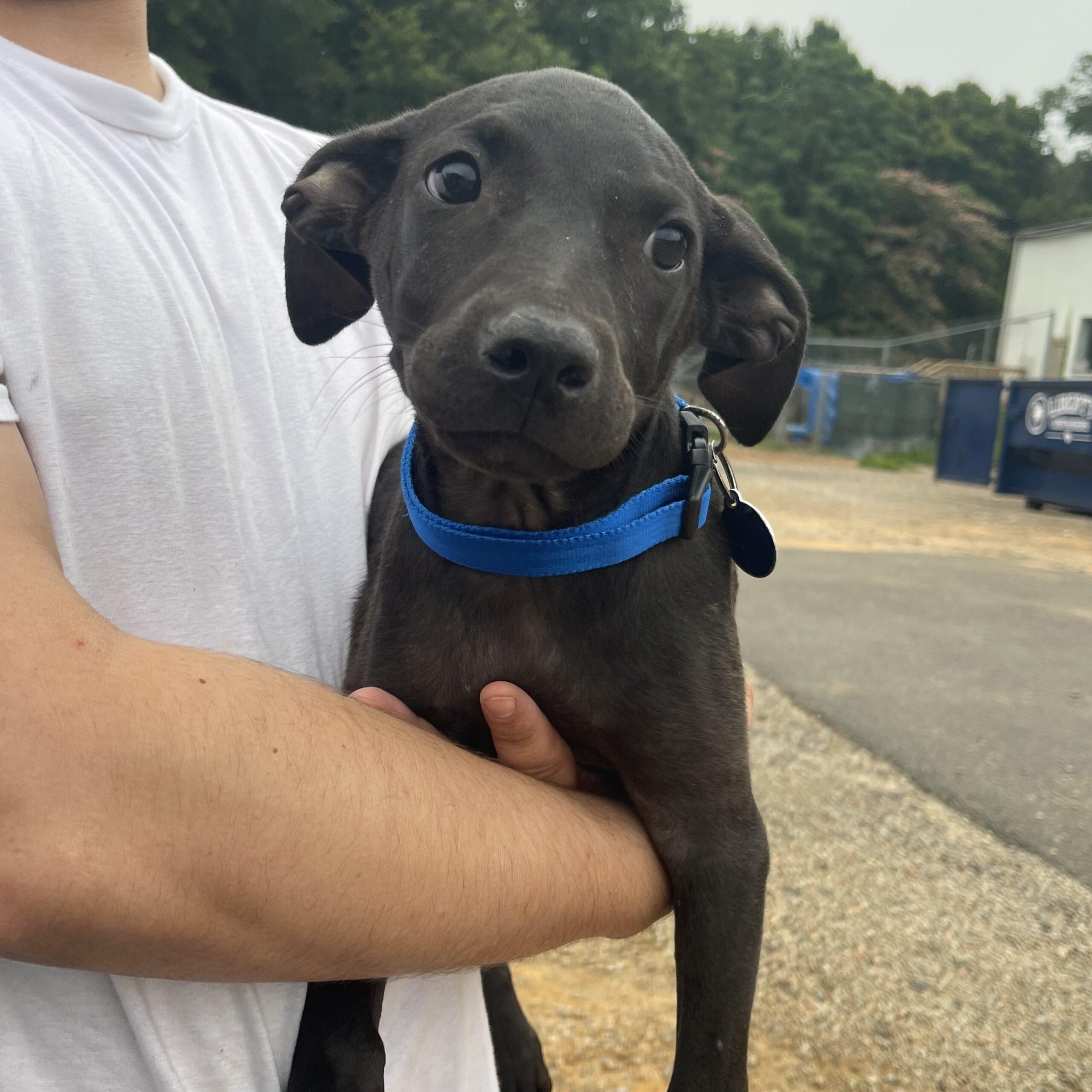 Vista — thumbnail 5