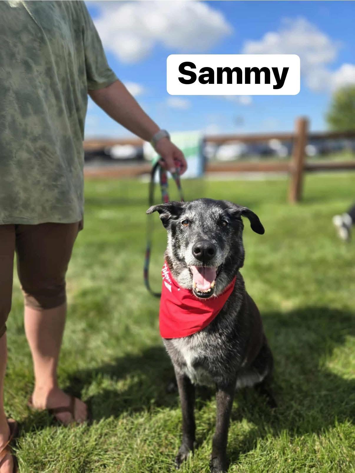 Sammy
