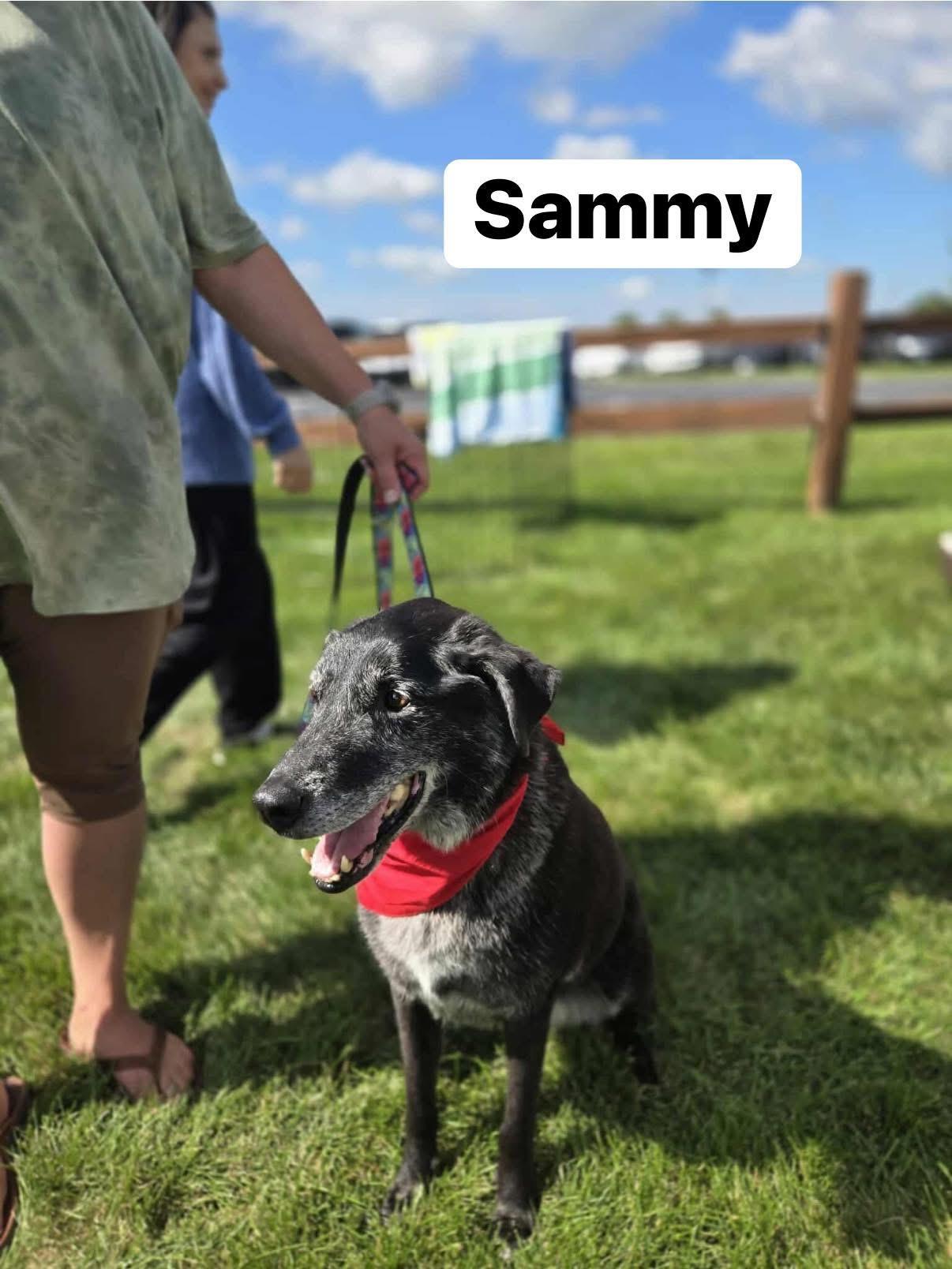 Sammy