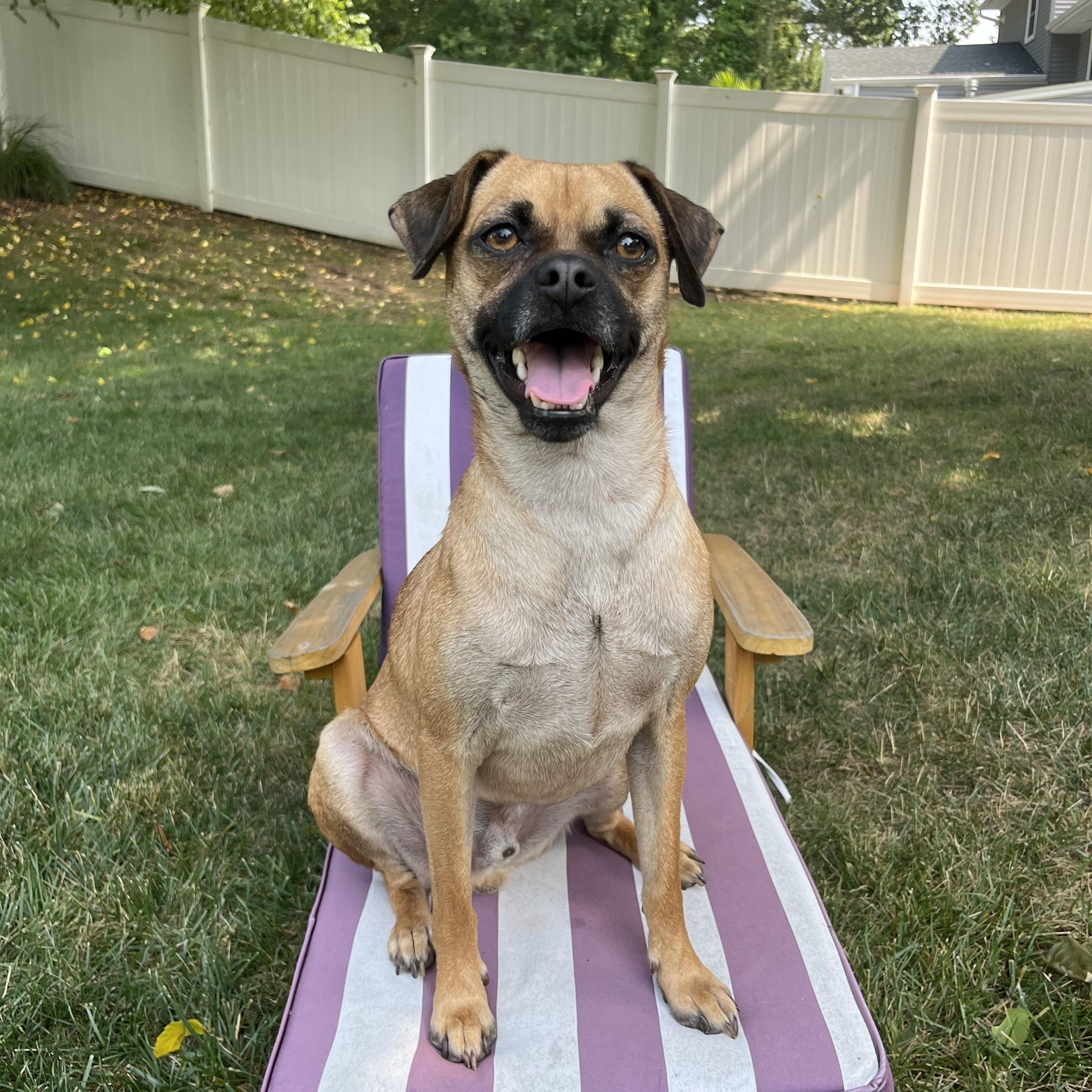 Harpoon (Bonded to Davey)