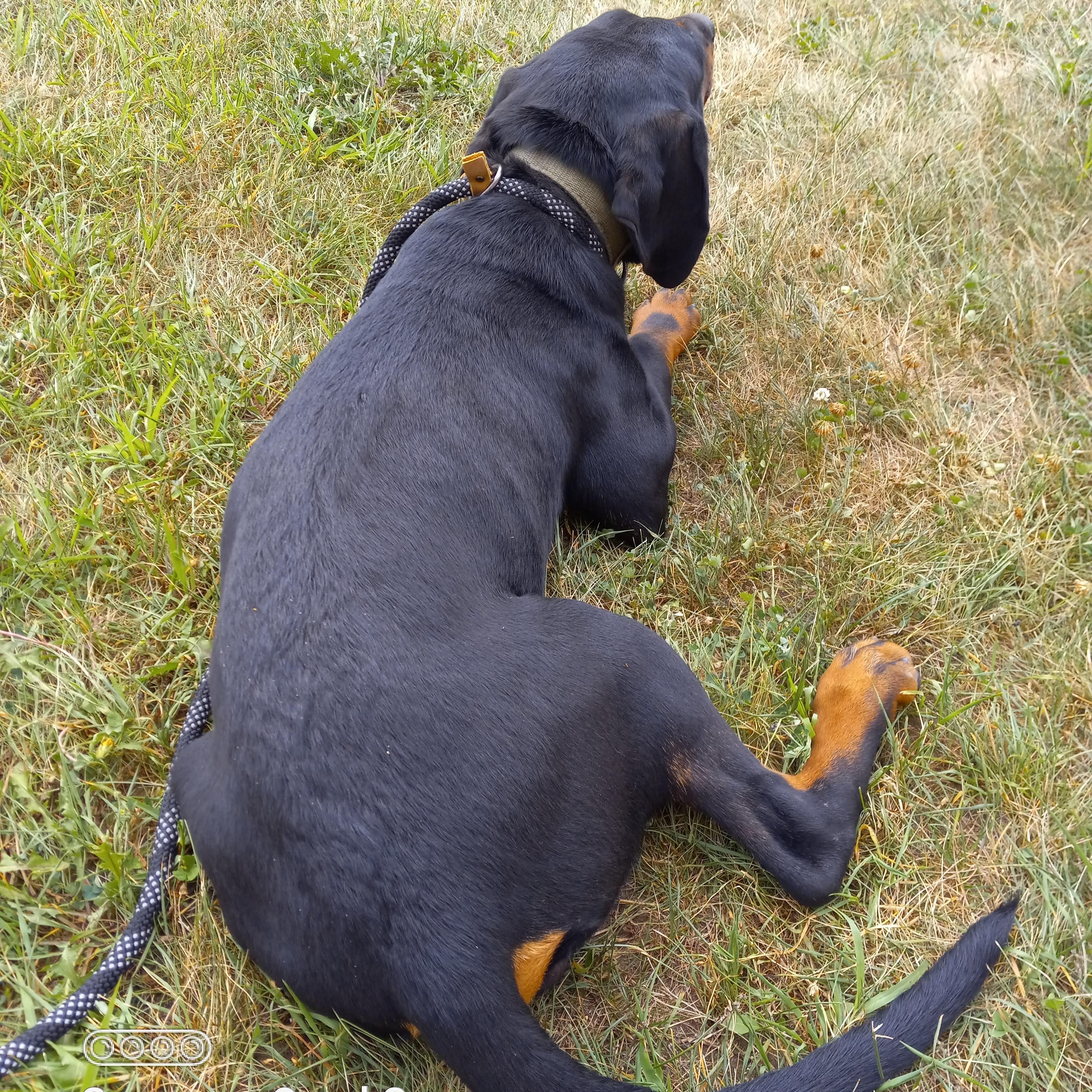 Hunter photo 3