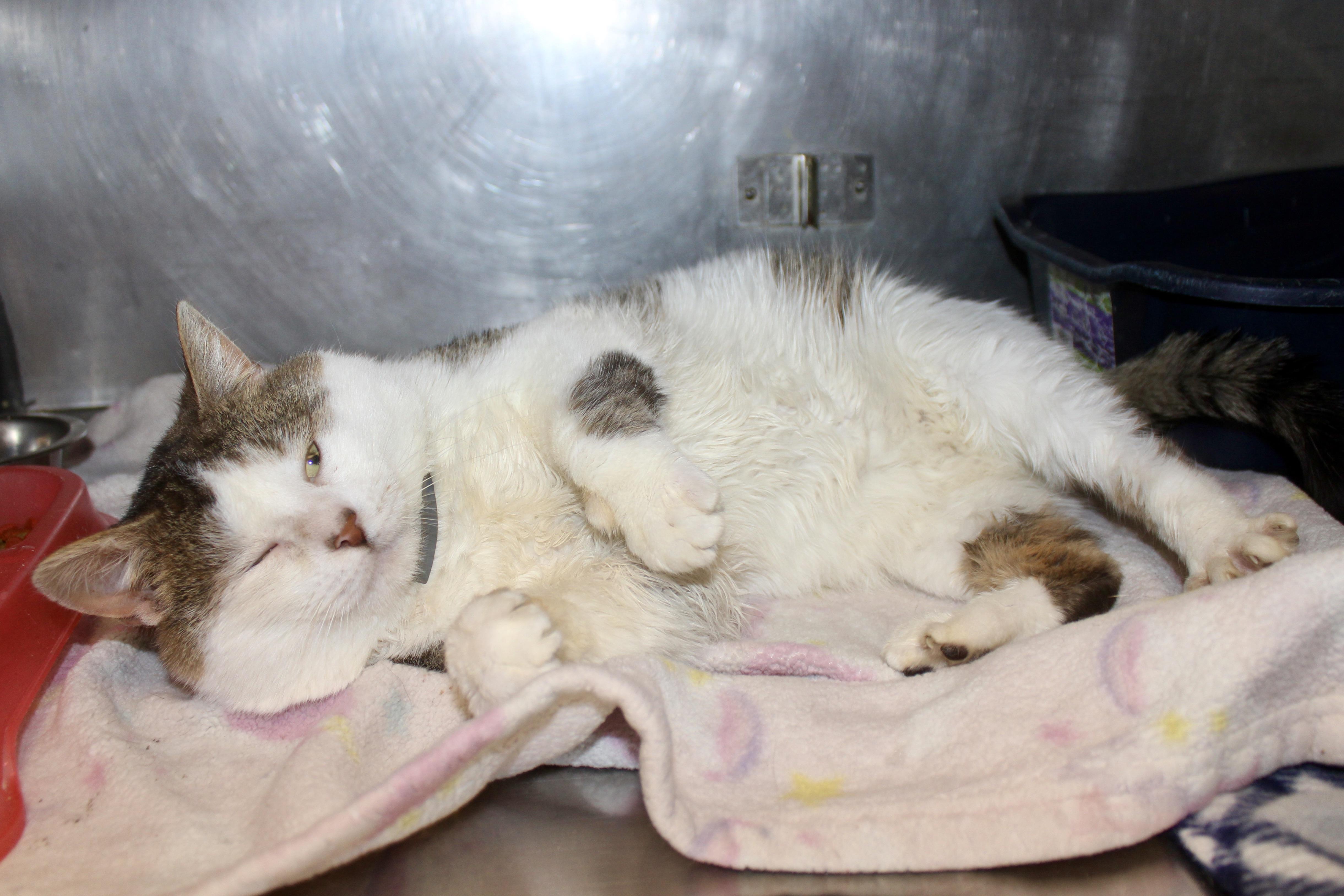 NOON — thumbnail 2