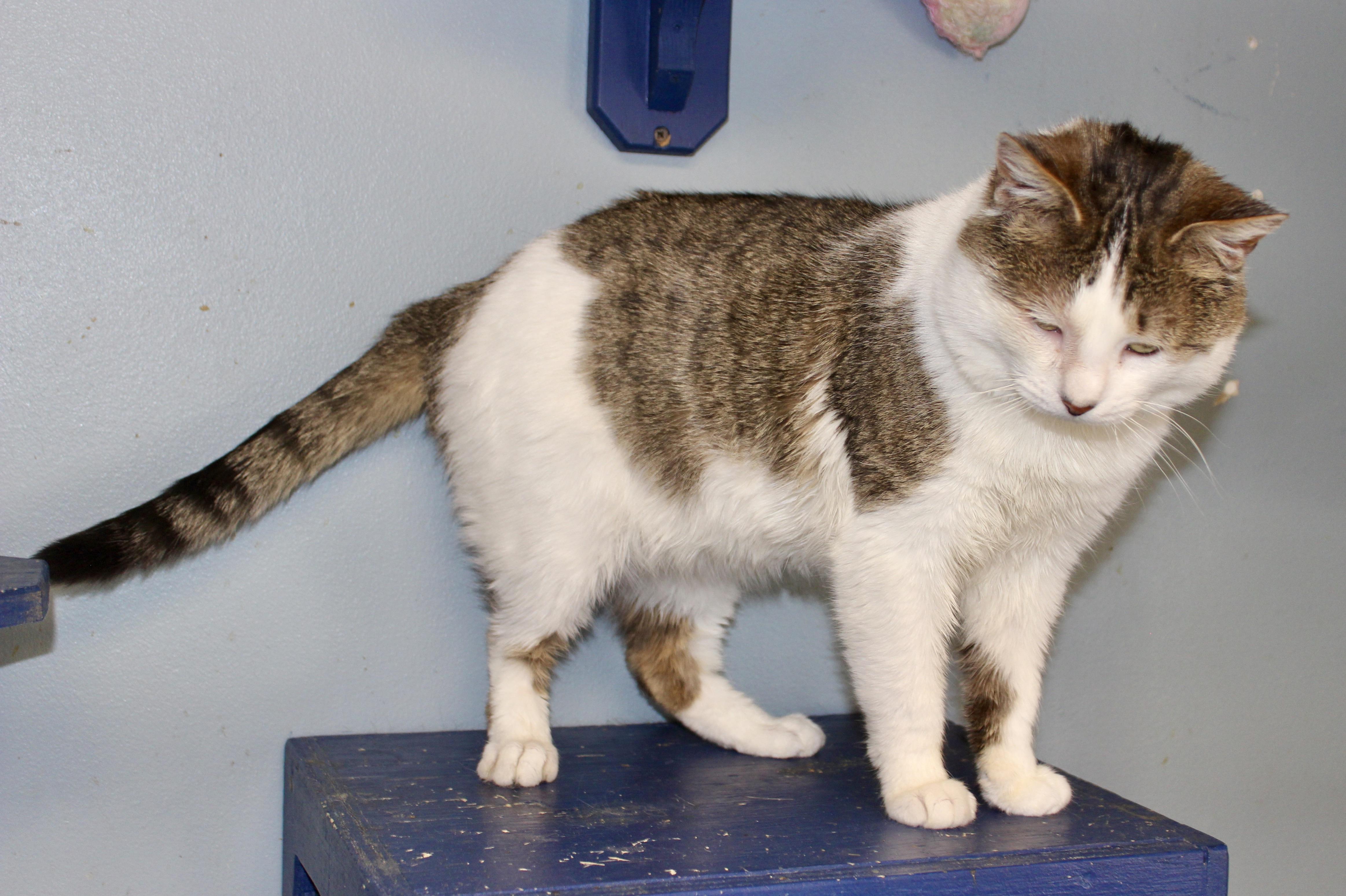 NOON — thumbnail 4