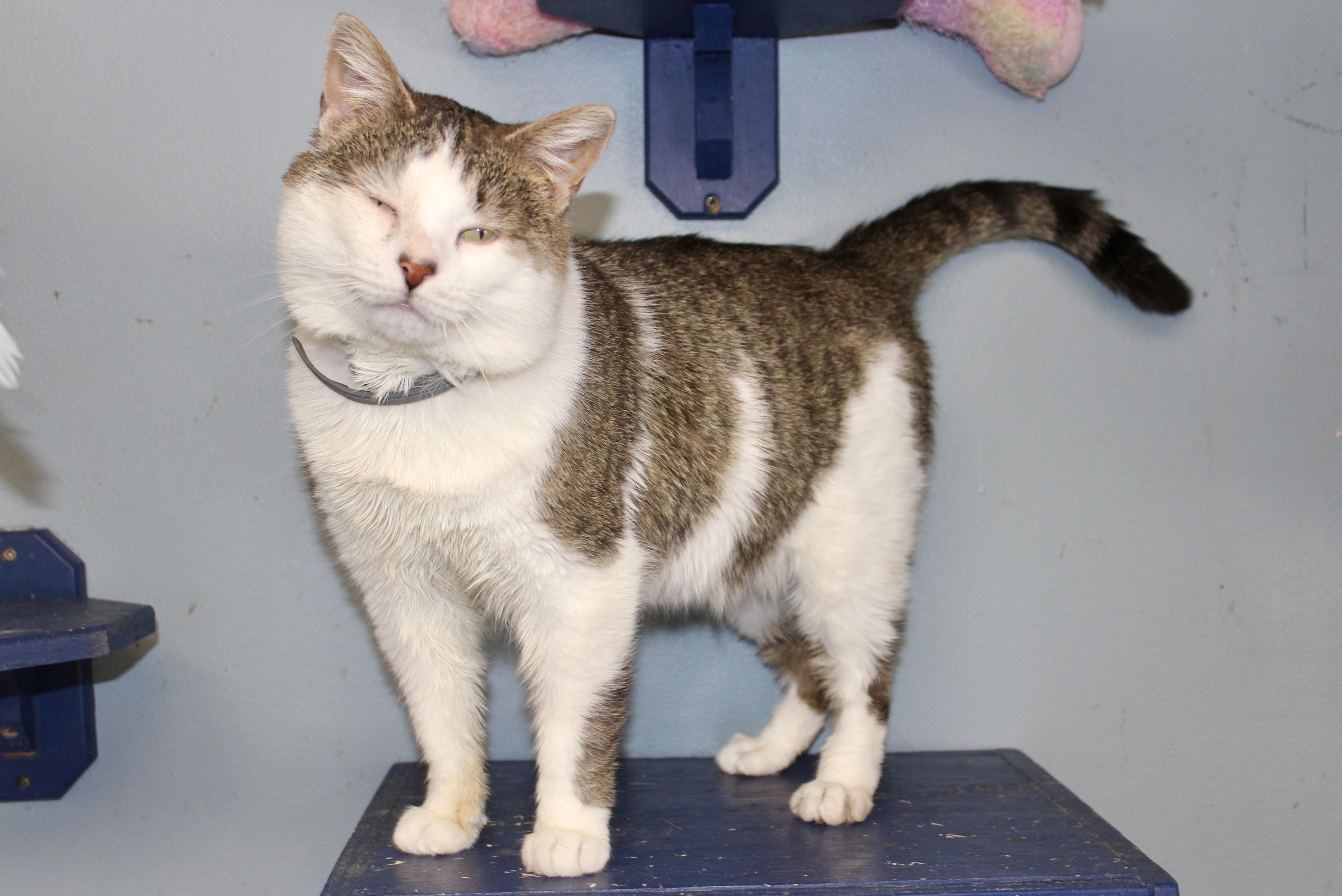 NOON — thumbnail 5