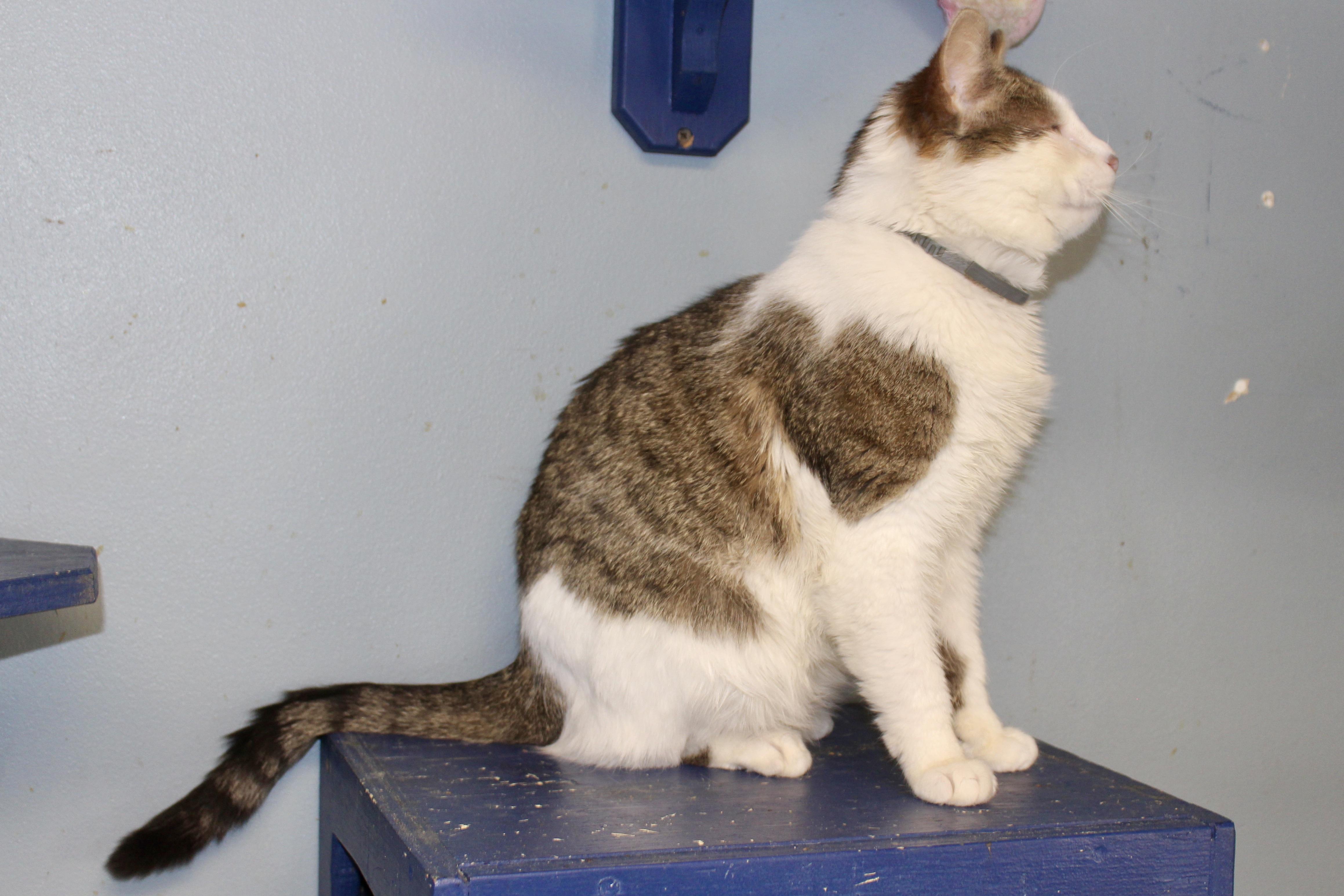 NOON — thumbnail 6