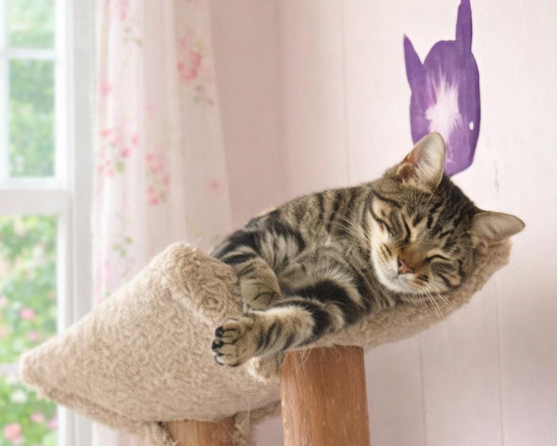 Enlarge Genesis, a Adoptable Tabby in Cuyahoga Falls, OH image 2/3