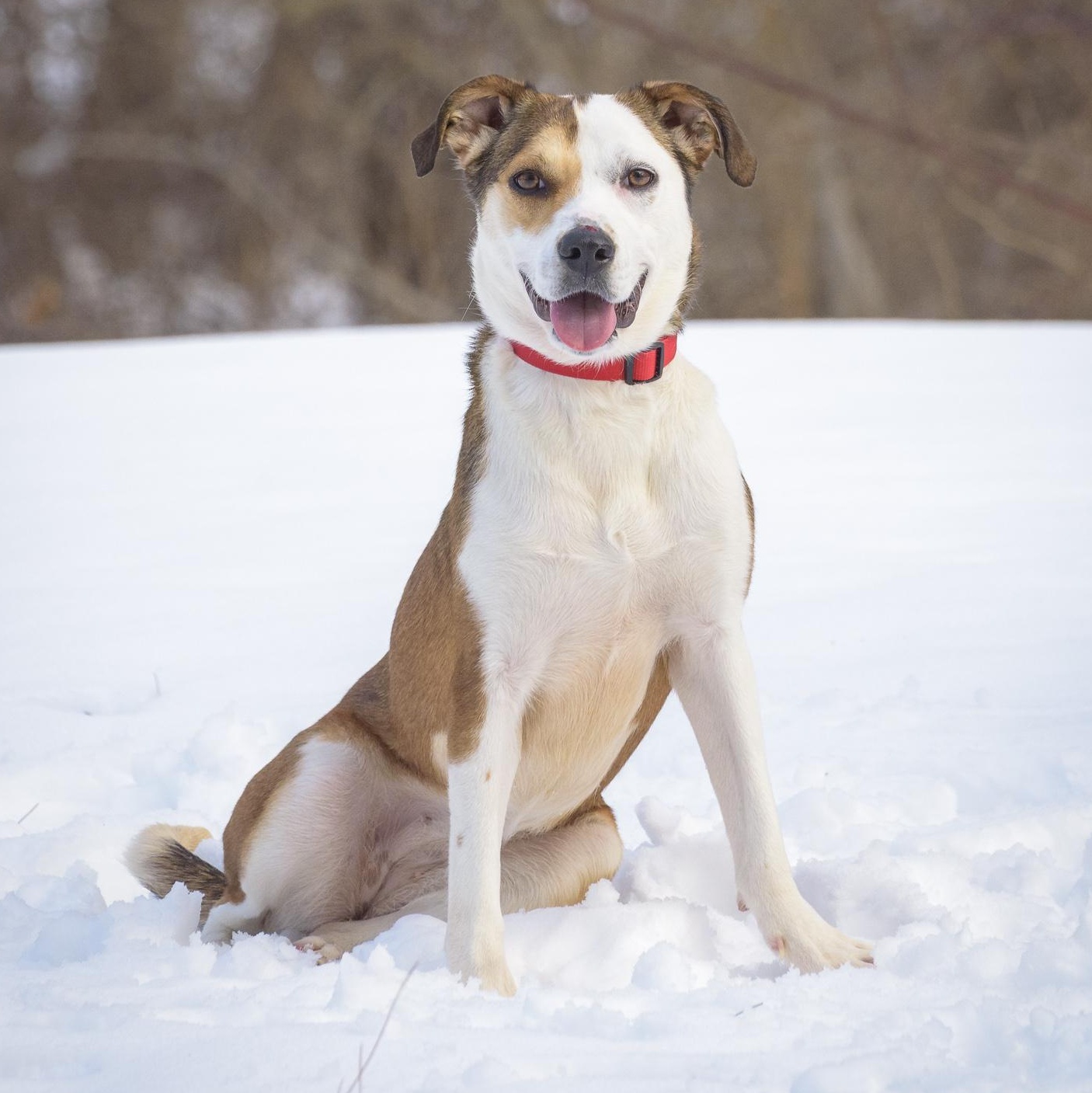 Esme — thumbnail 2