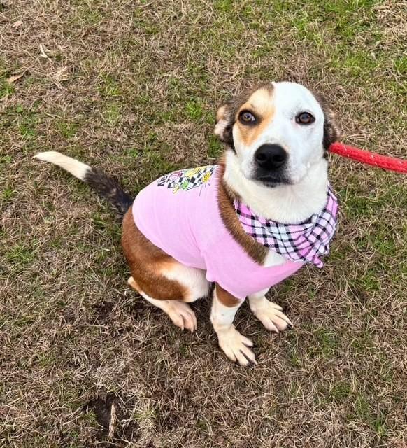 Esme — thumbnail 3