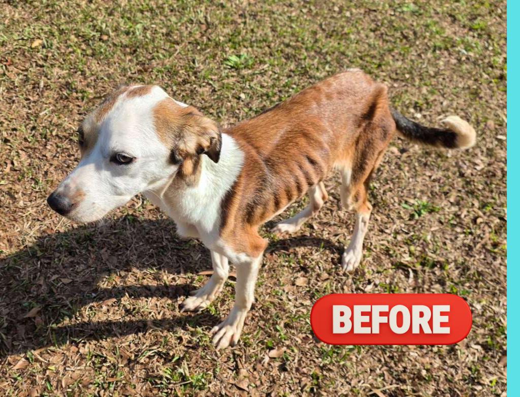 Esme — thumbnail 4