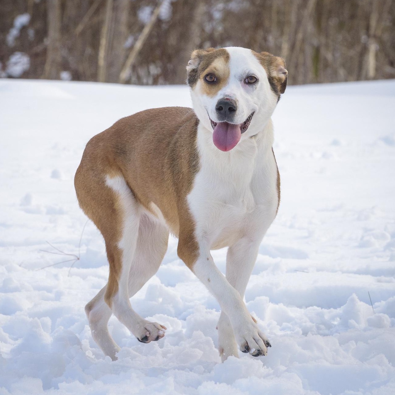 Esme — thumbnail 5