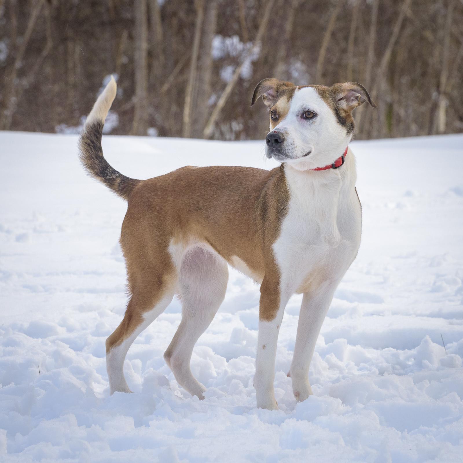 Esme — thumbnail 6