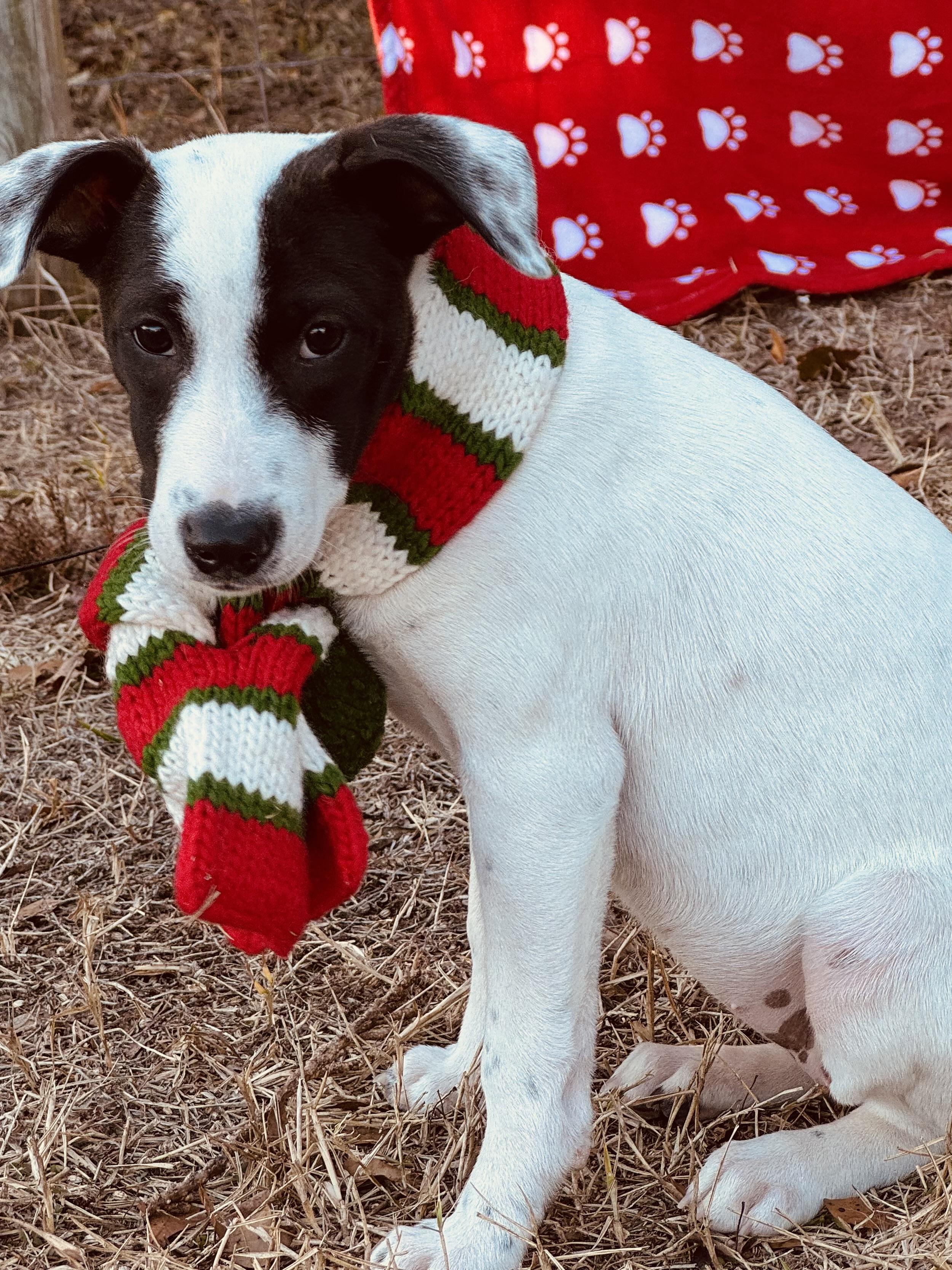 Mindy Sue thumbnail 2