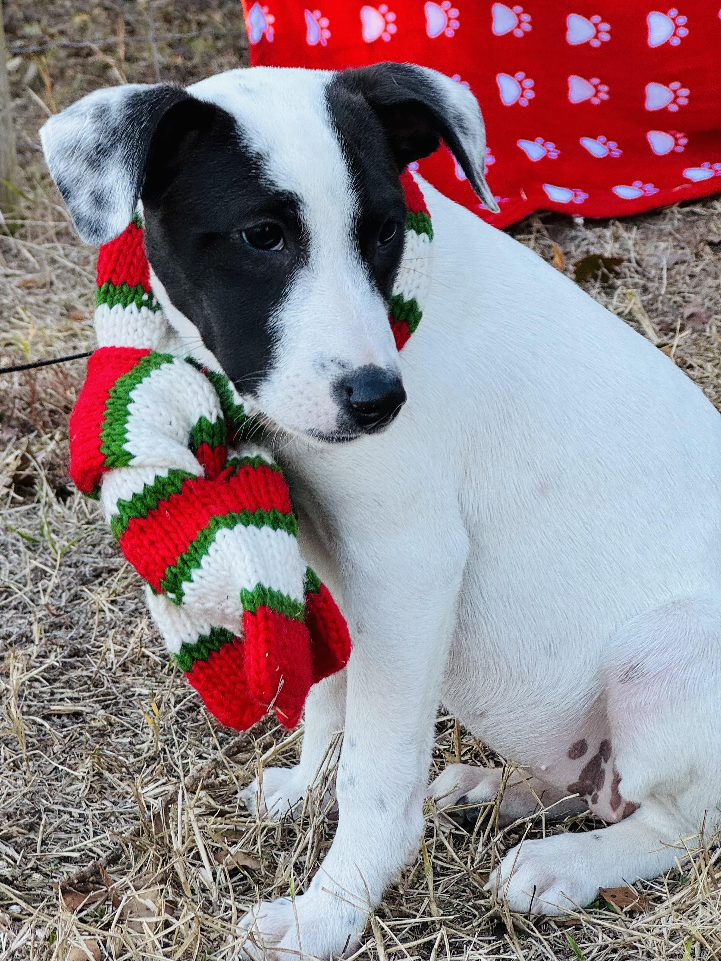 Mindy Sue thumbnail 3