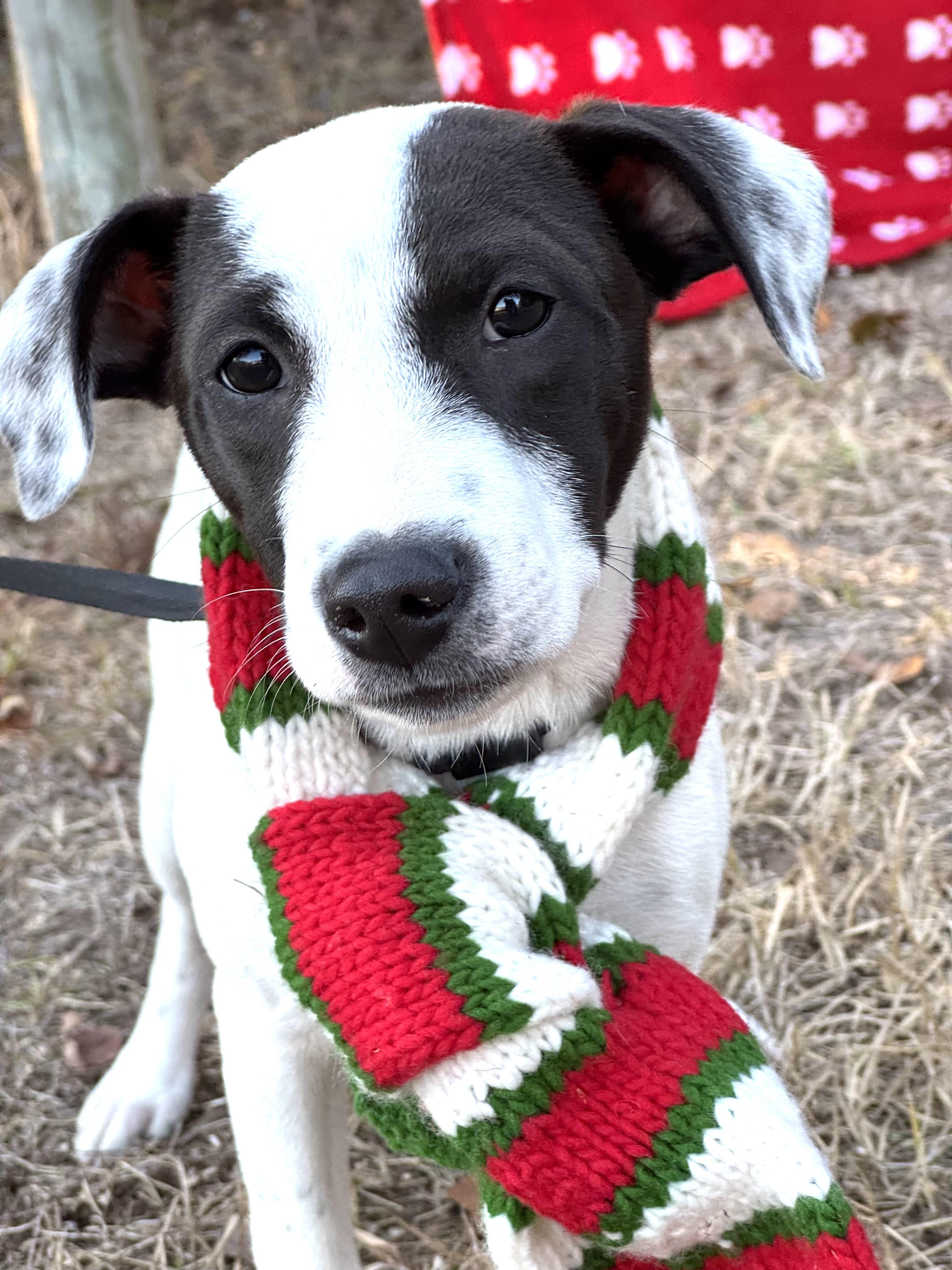 Mindy Sue thumbnail 4