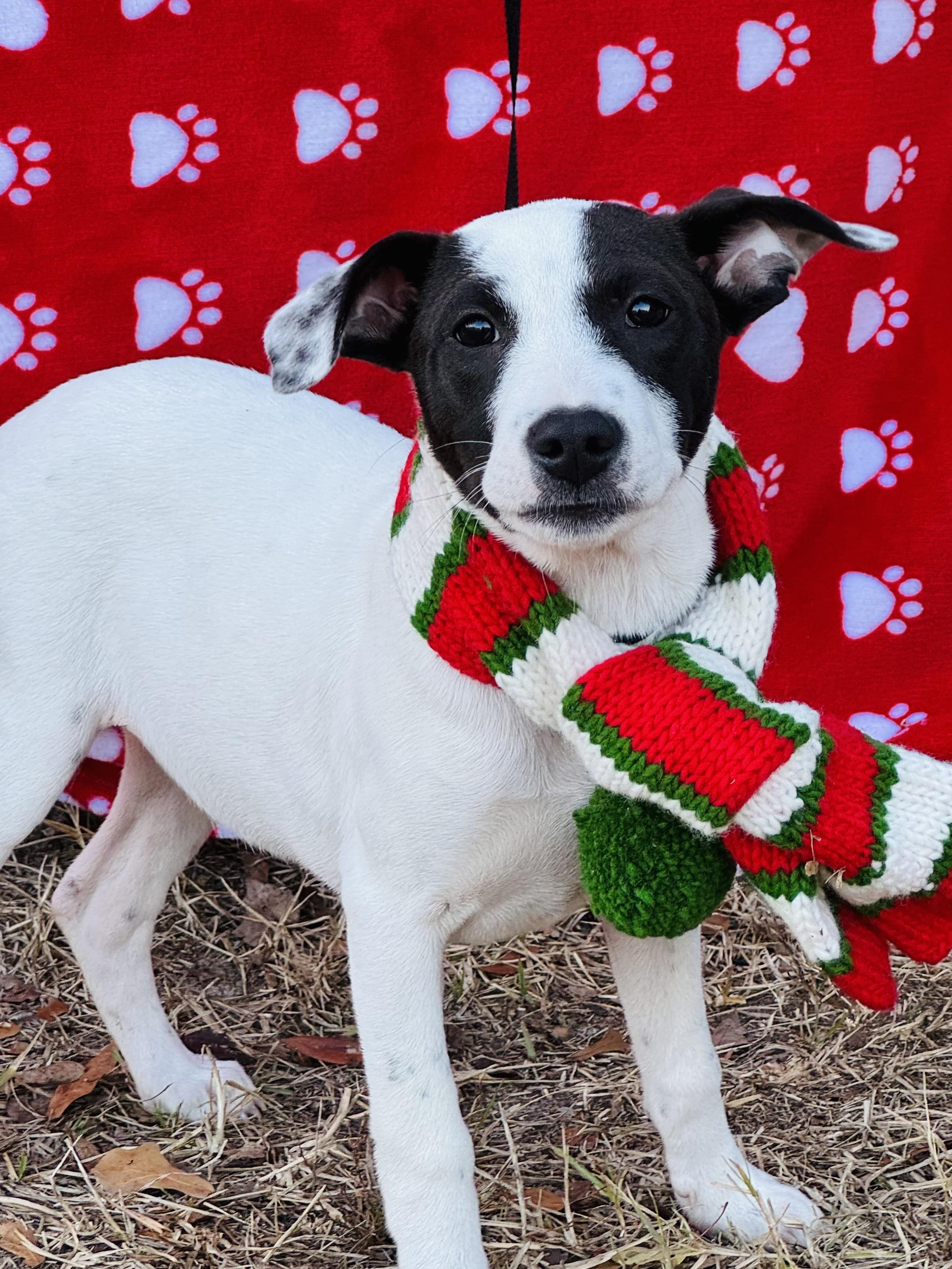 Mindy Sue thumbnail 5