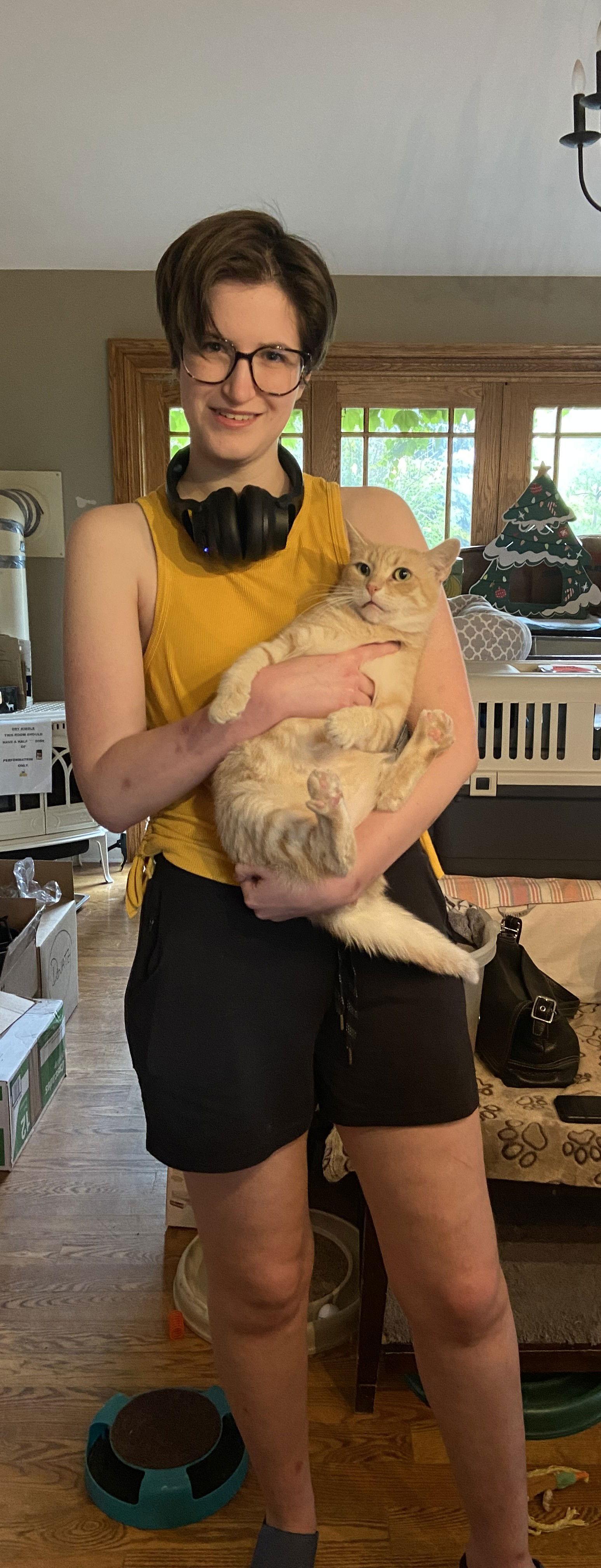 Fonzie - Sponsored by Anne Chu, a Adoptable Domestic Short Hair in Markham, ON image 1/6