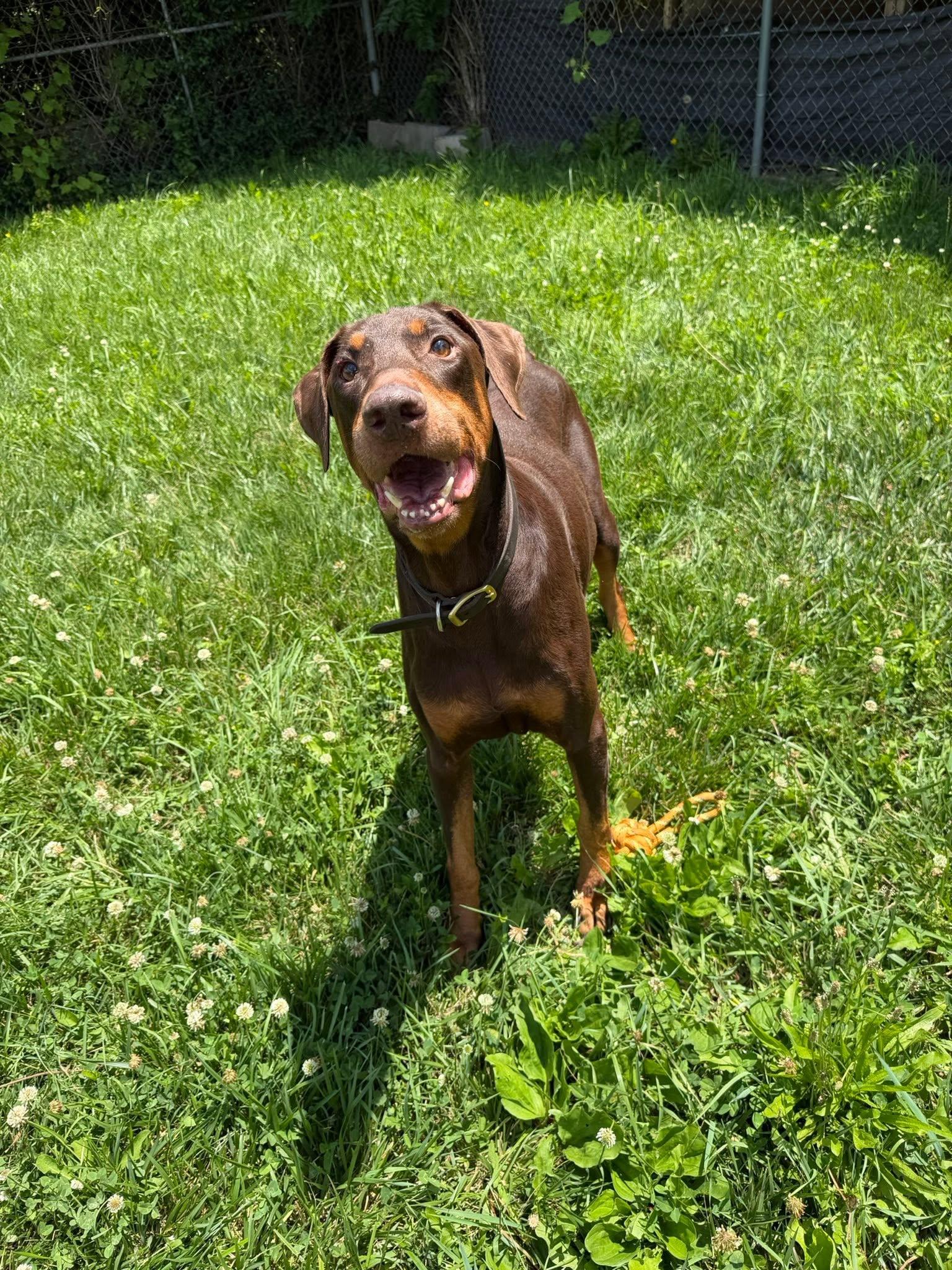 Rodger photo