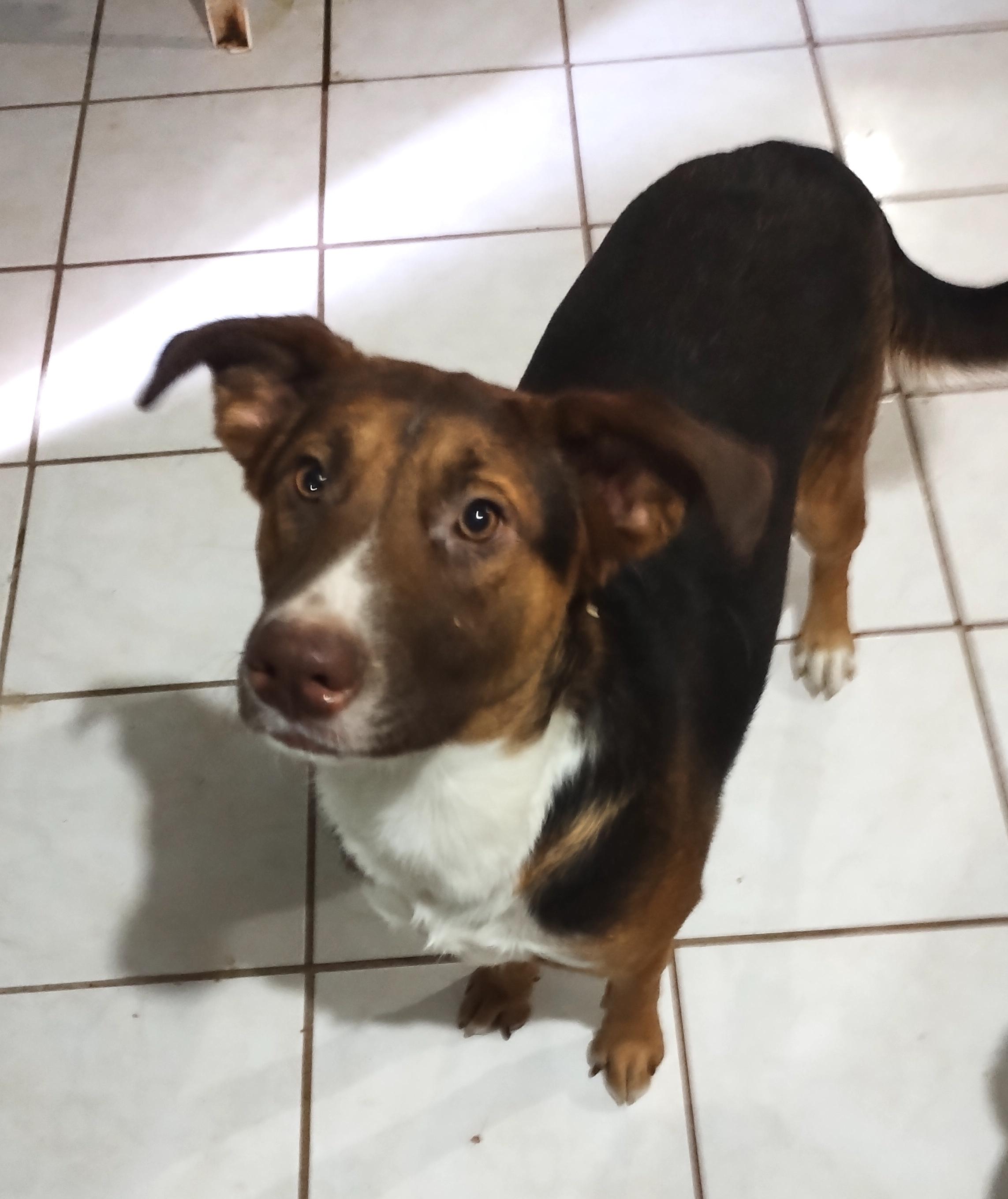 Chocolata (5) — thumbnail 3