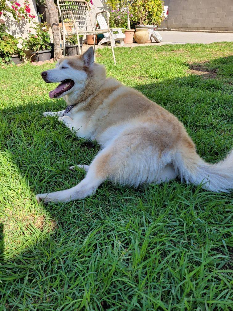 Fun-loving Fynn!! photo 4