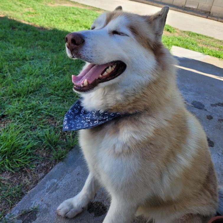 Fun-loving Fynn!! photo 2
