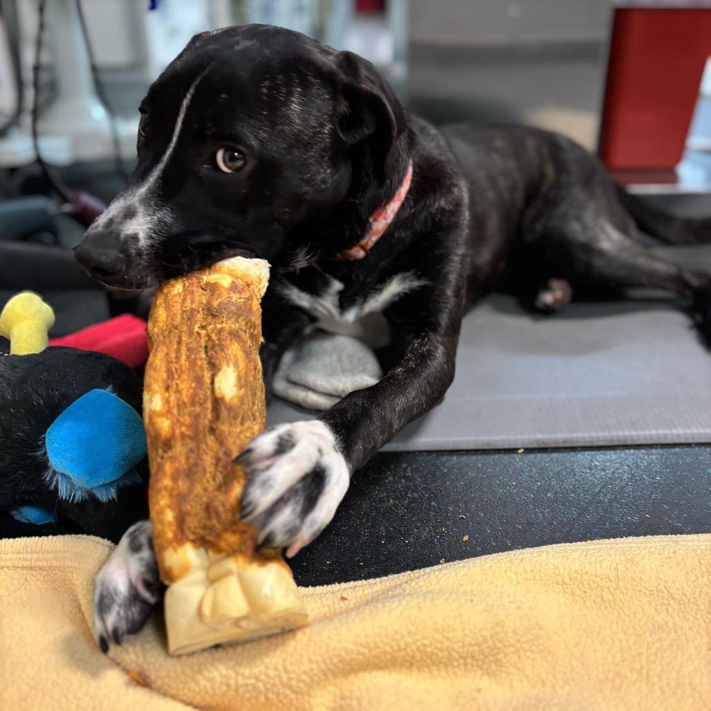 Rainbow Brite thumbnail 2