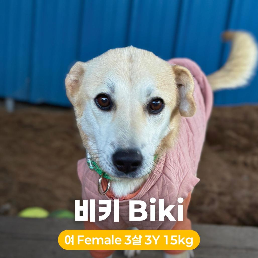 Biki