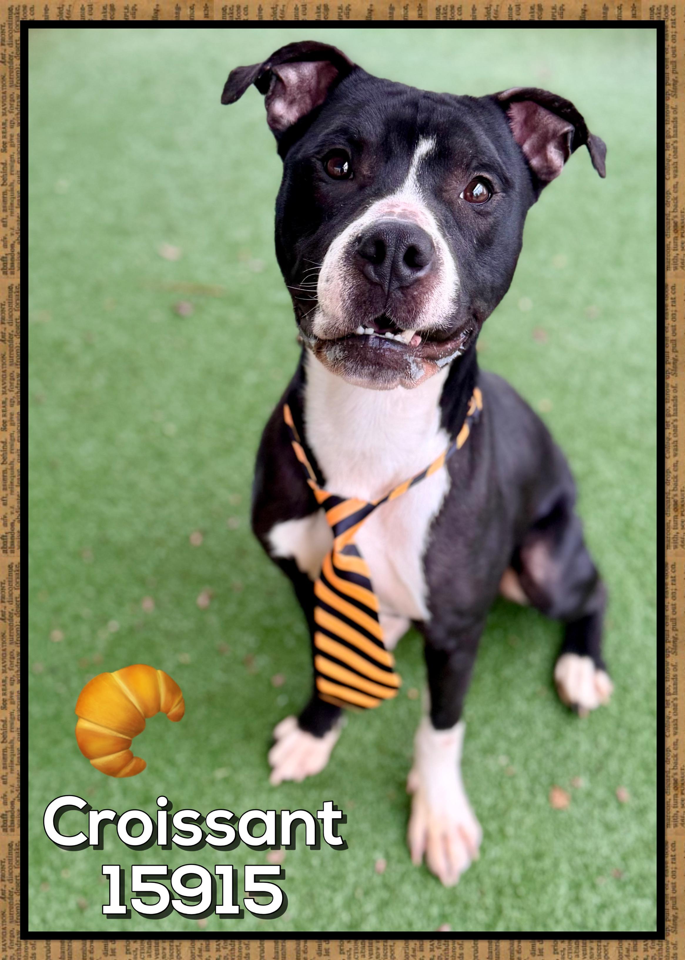 Croissant thumbnail 6