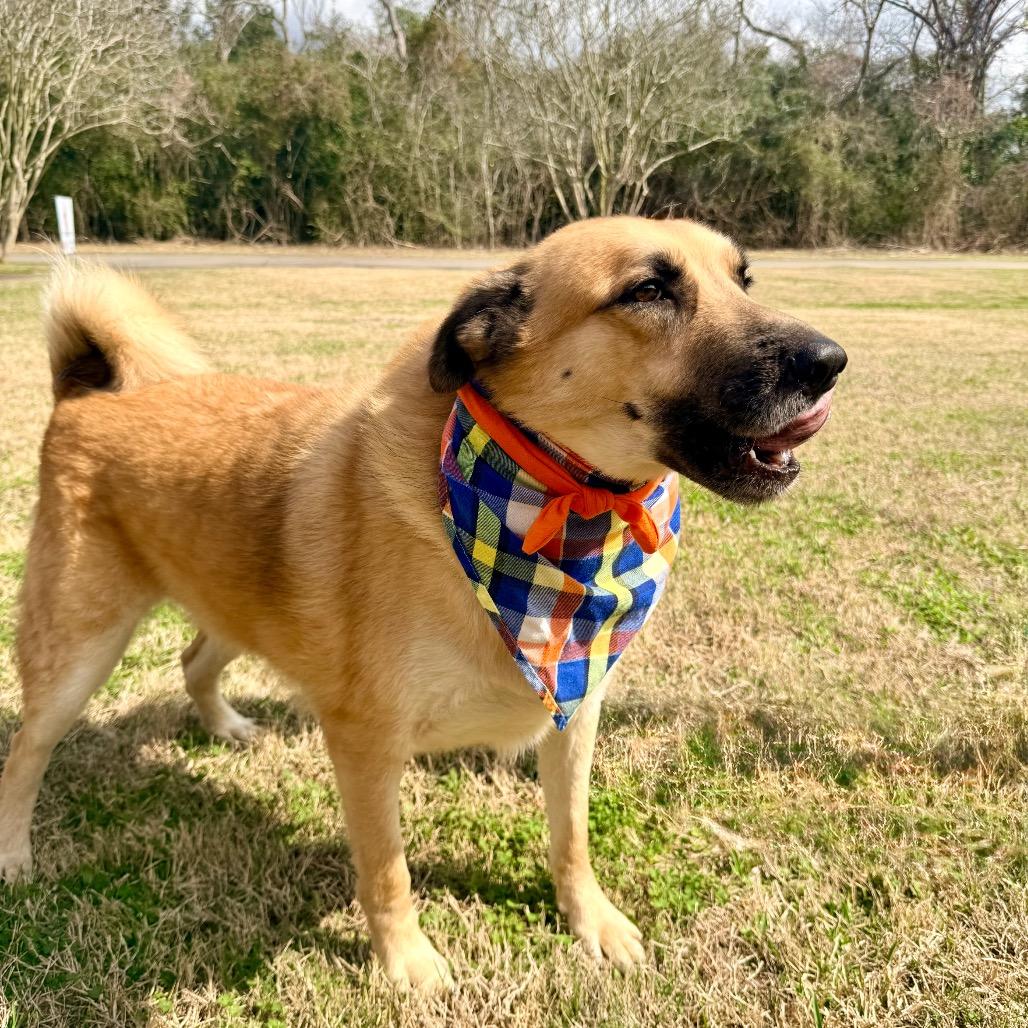 Peanut — thumbnail 2