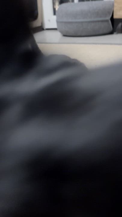 Enlarge Dennis, a Adoptable Domestic Short Hair in Los Angeles, CA video 3/6