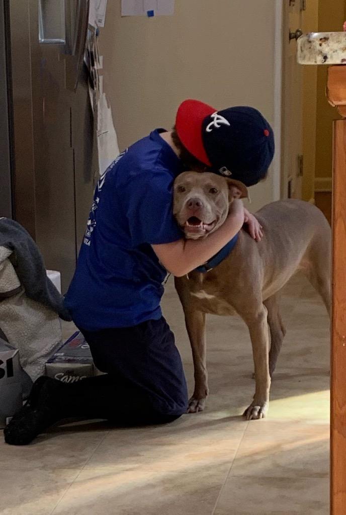 Enlarge Blondie - Color me with kisses..., a Adoptable Mixed Breed in Marietta, GA image 5/5