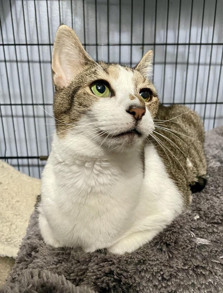 Flower (Sara Smiles) — thumbnail 2