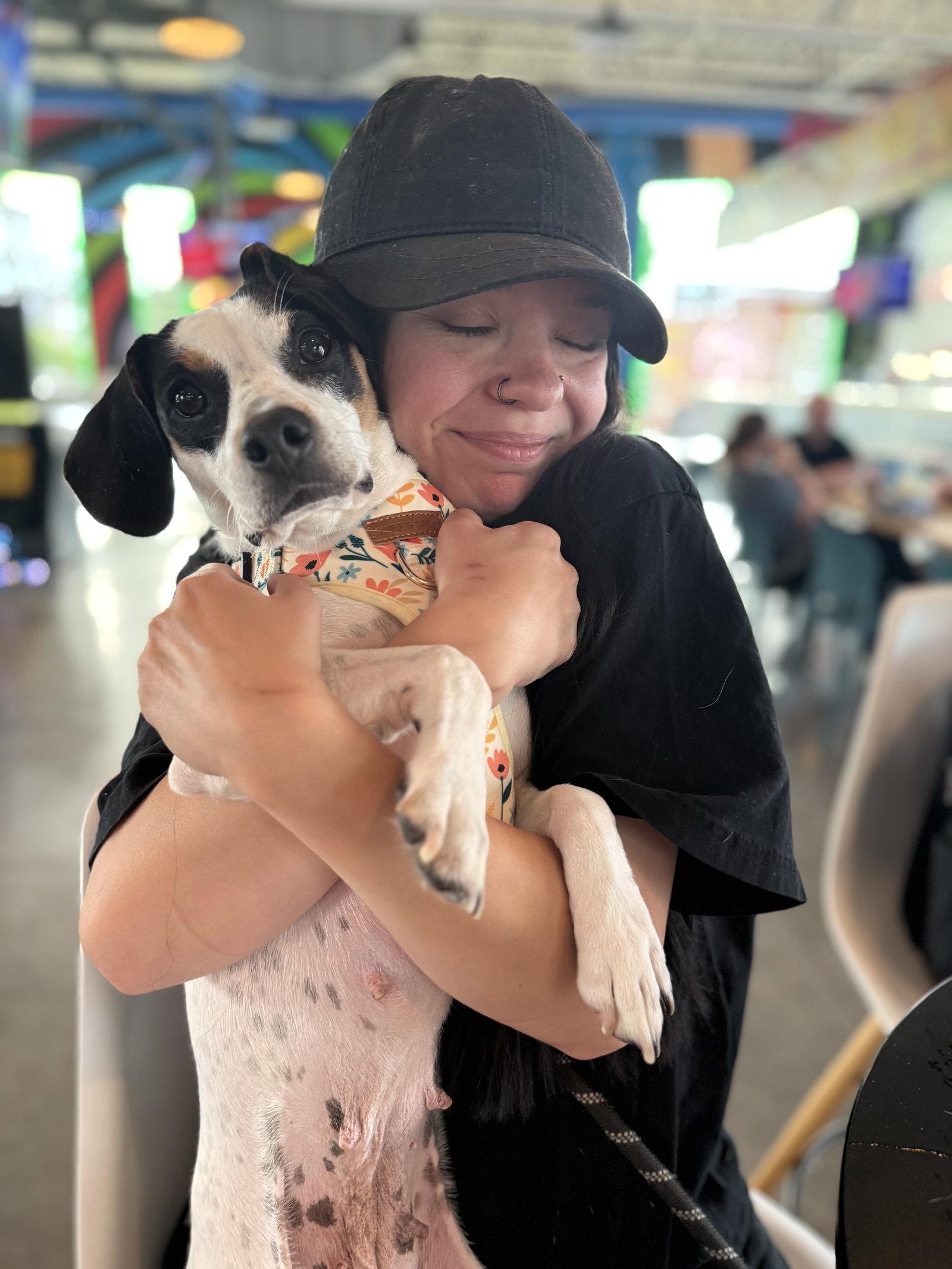 Enlarge Petal - ADOPTION PENDING!, a Adoptable Beagle in Arlington, VA image 3/3