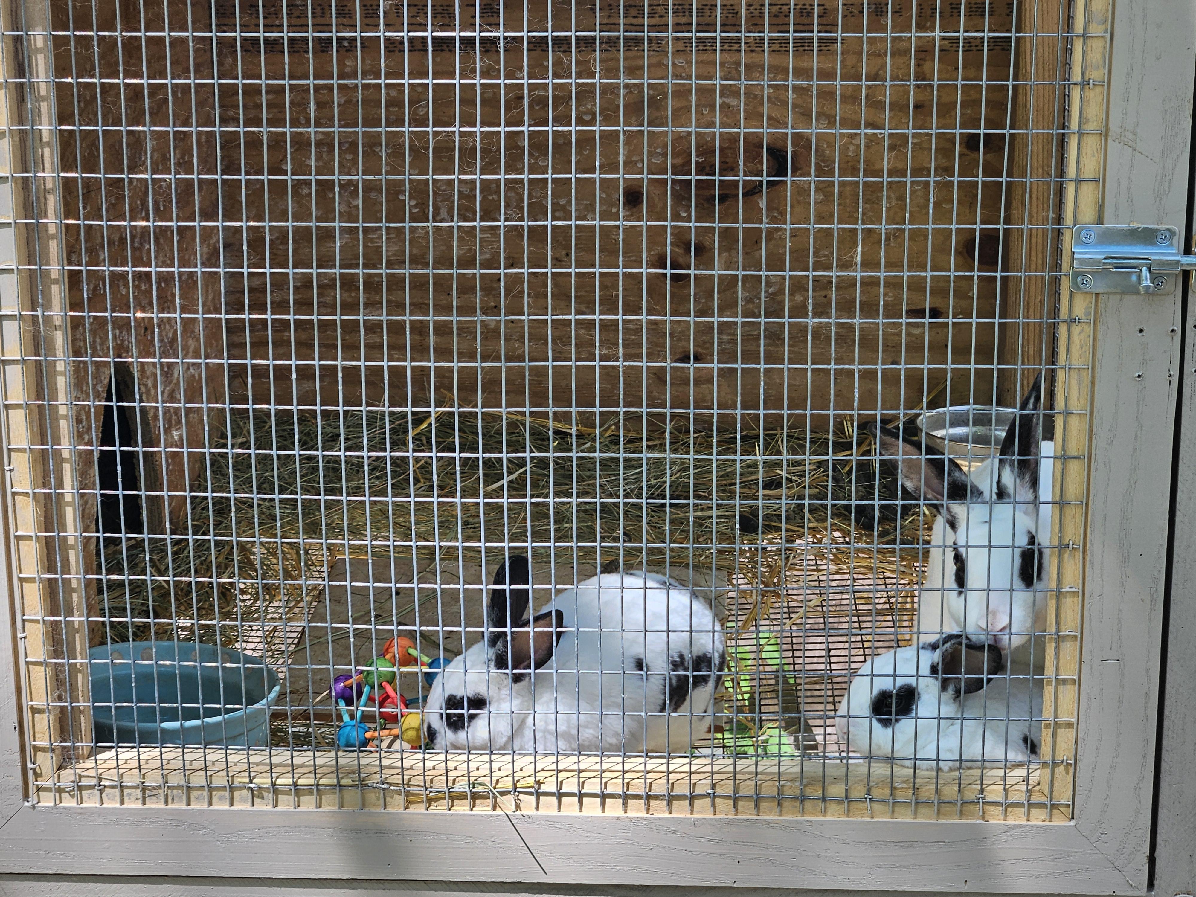 MINY and MYNE - sweet