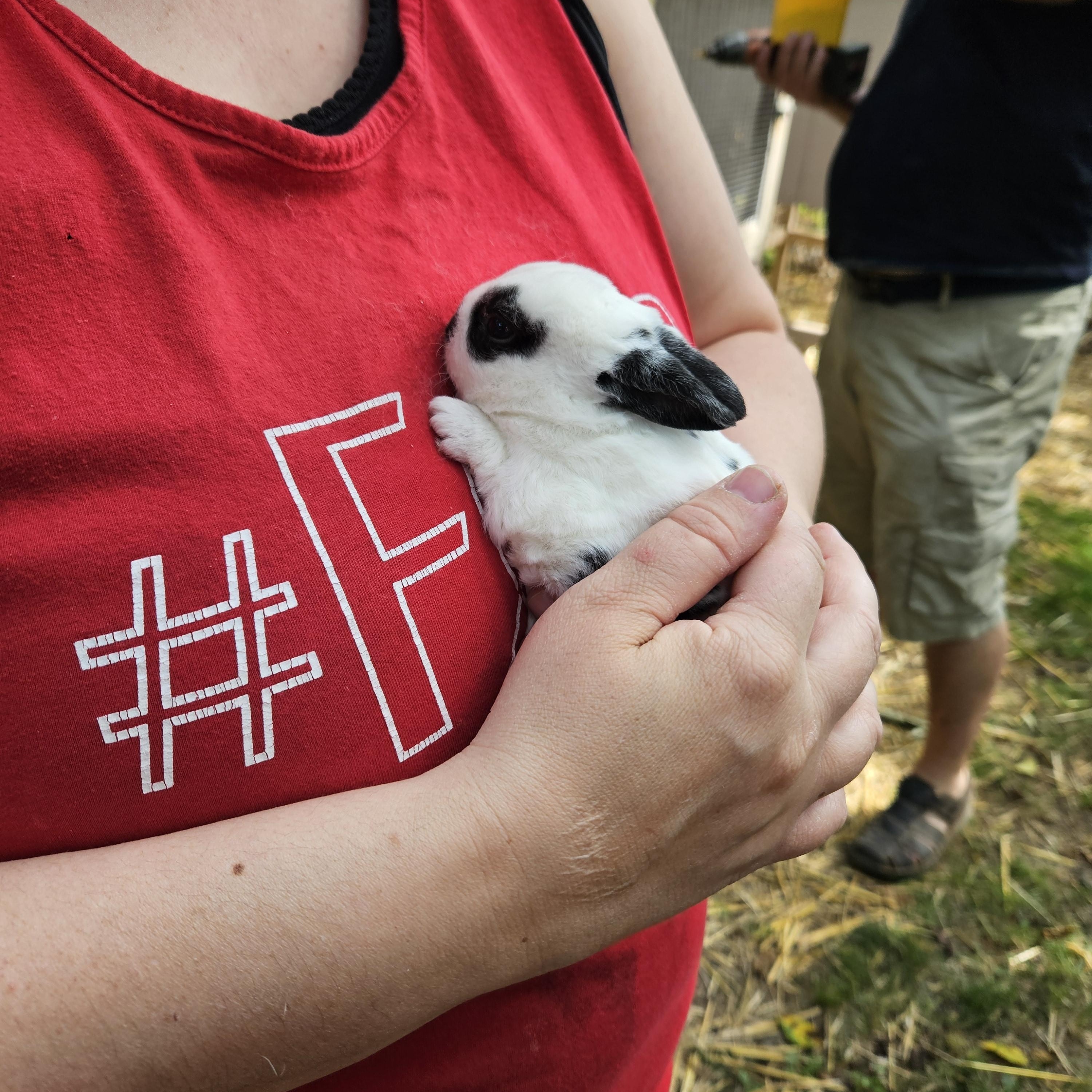 MINY and MYNE - sweet