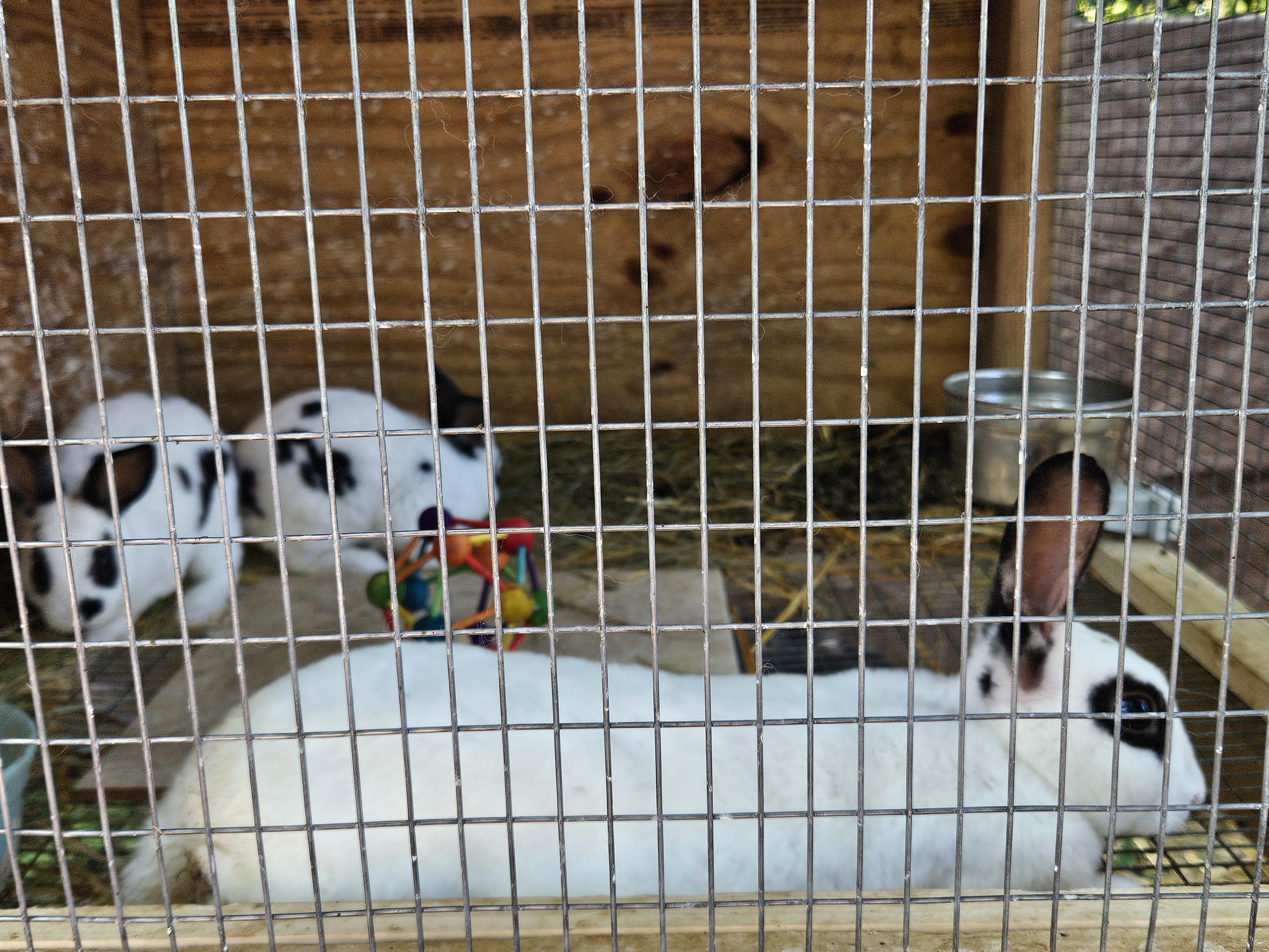 MINY and MYNE - sweet