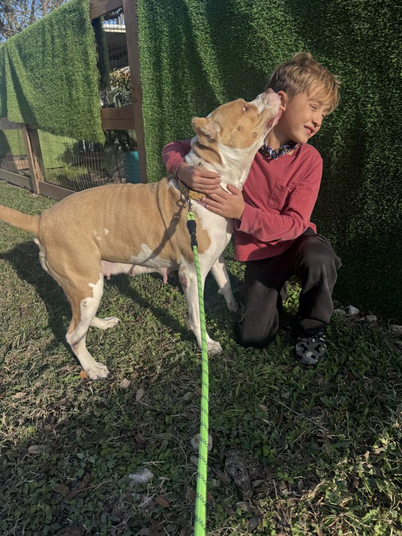 Lovely London Queen of Naps and Belly-Rubs