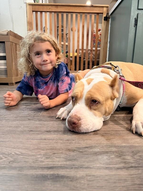 Lovely London Queen of Naps and Belly-Rubs — thumbnail 2