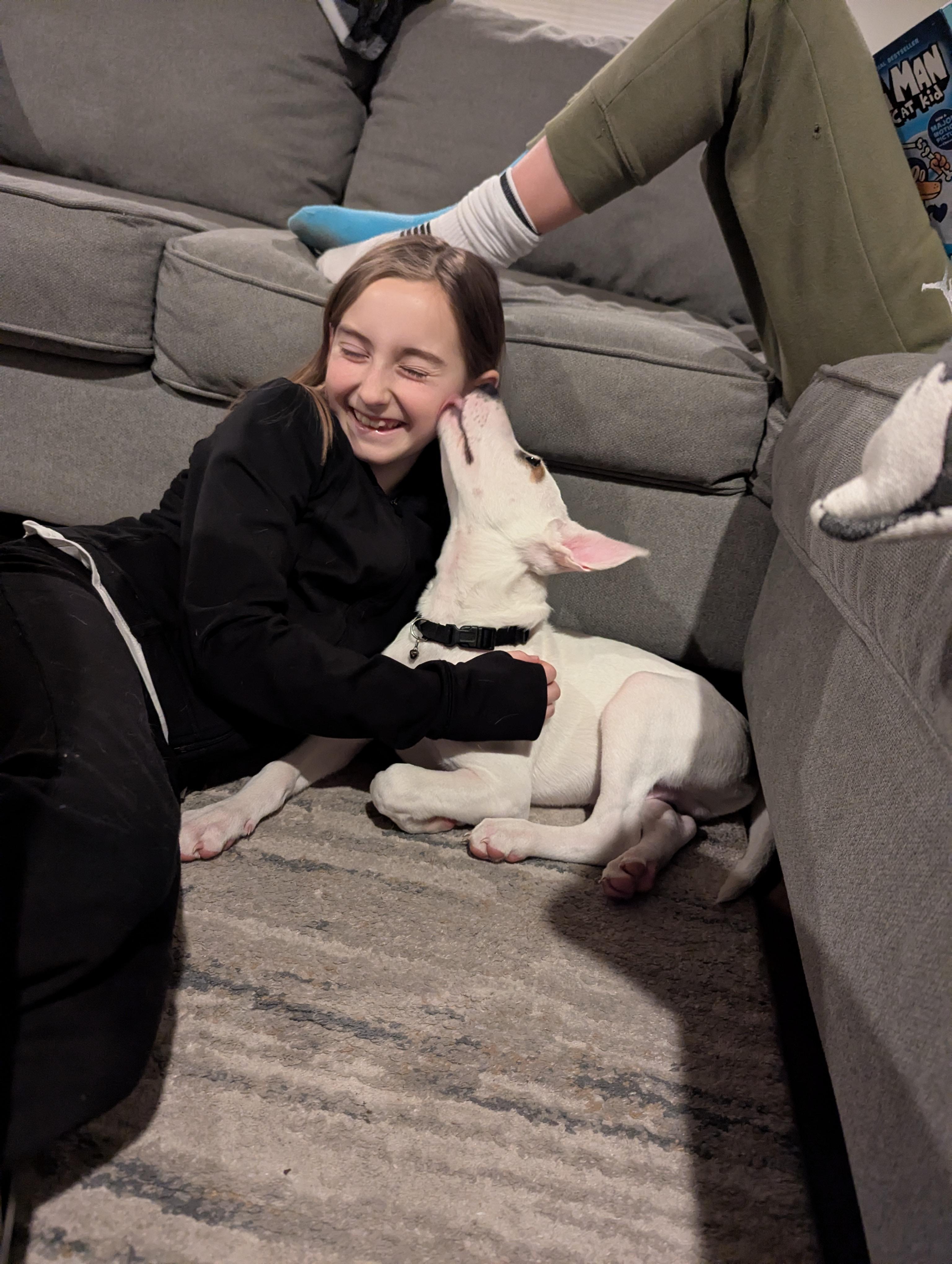 Risotto , a ADOPTABLE mixed breed in New York, NY image 4/6