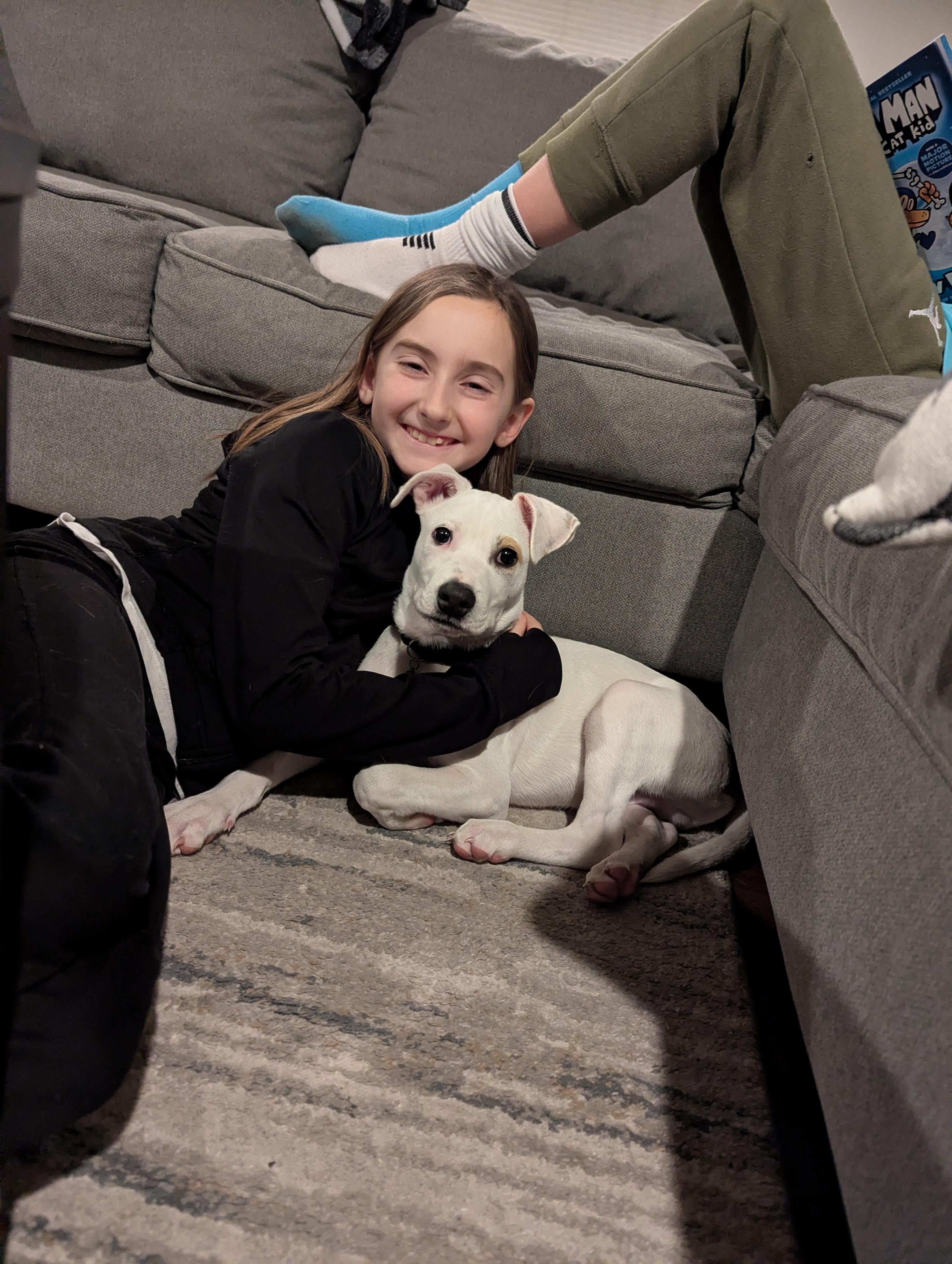 Risotto , a ADOPTABLE mixed breed in New York, NY image 3/6